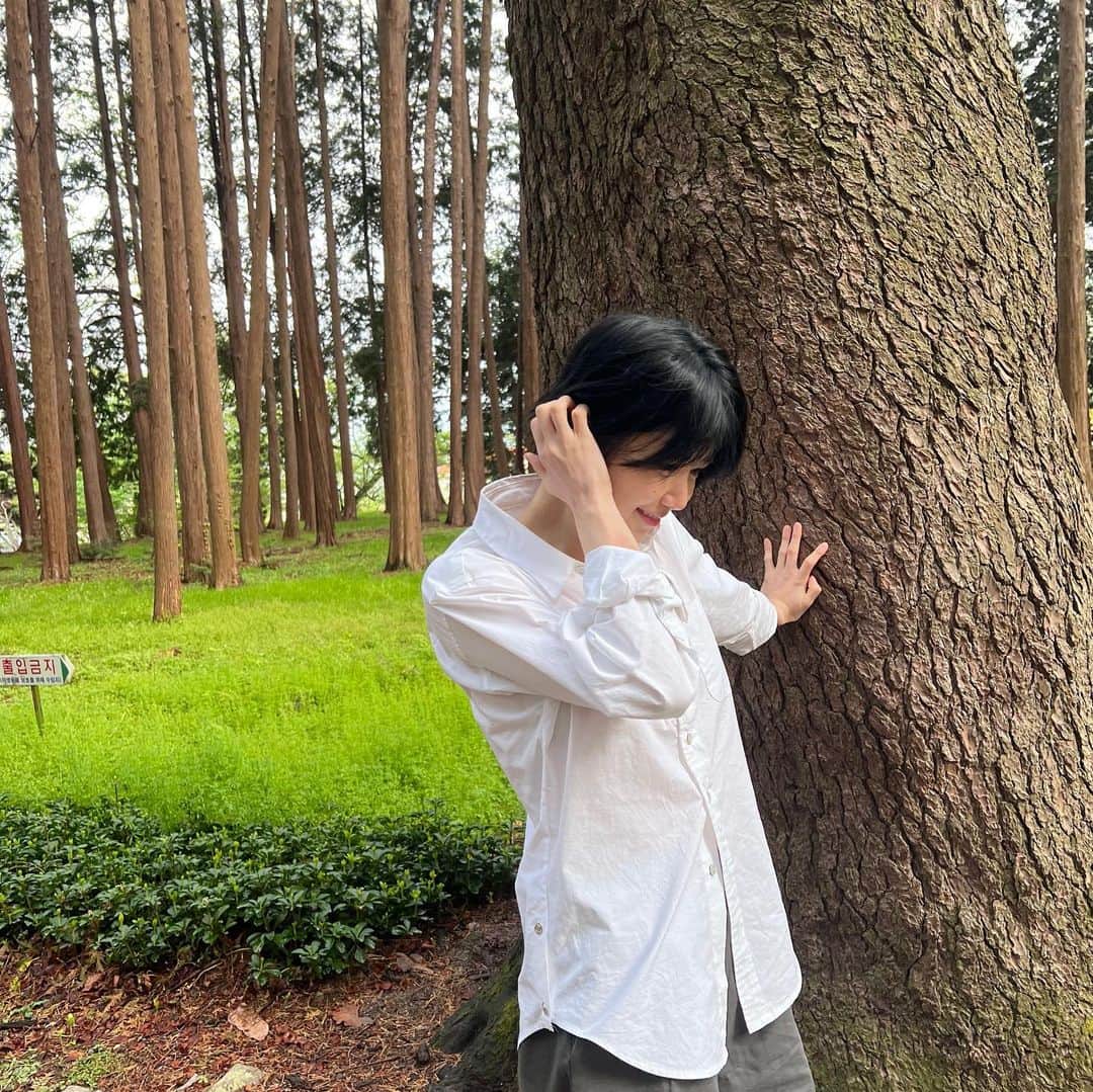 ハユンさんのインスタグラム写真 - (ハユンInstagram)「초록이 주는 힘 🌳  #폰토그래퍼 by 임유.진.의 포토북 pt.1」4月18日 18時44分 - leehwasi