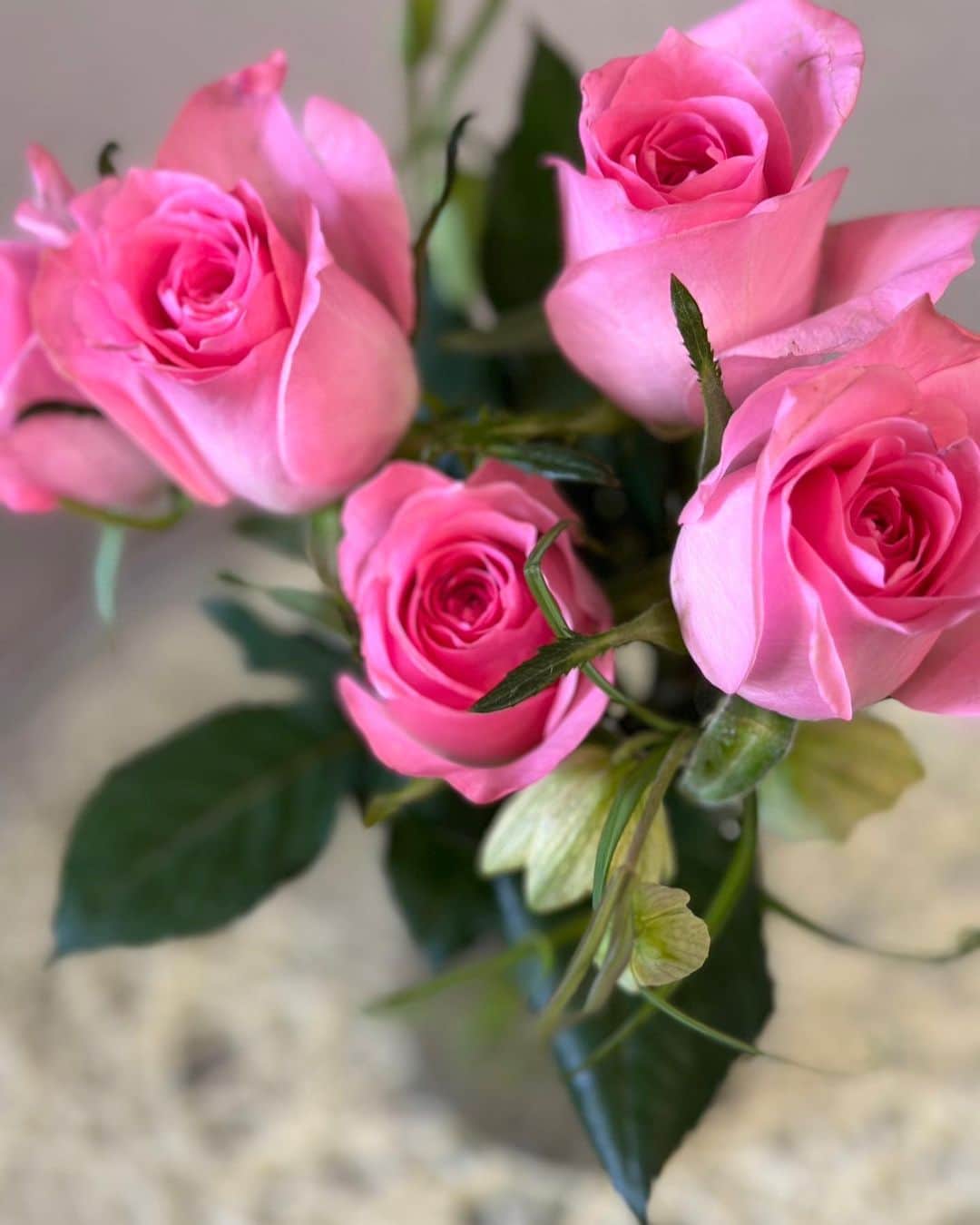 美波千夏さんのインスタグラム写真 - (美波千夏Instagram)「. 今月のモアフラのお花の定期便は ブロッサムピンクとバイモユリでした〜💓💓 @moafura_official  春らしい爽やかなピンクが お部屋の中を明るくしてくれる〜✨✨  皆さんもお花のある生活 してみませんか？🥰💓  .  #moafura  #モアフラ #お花の定期便 #お花のある暮らし #お花のある生活 #バラ花束 #バラ定期便 #バラサブスク #バラギフト　 #バラ #rose #花束 #ギフト #gift #薔薇」4月18日 18時46分 - chinatsu_minami