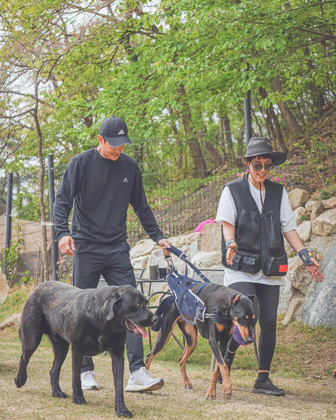 のインスタグラム：「늘 곁에서 도움을 주는 카파이~ 고맙데이~💙💙💙」