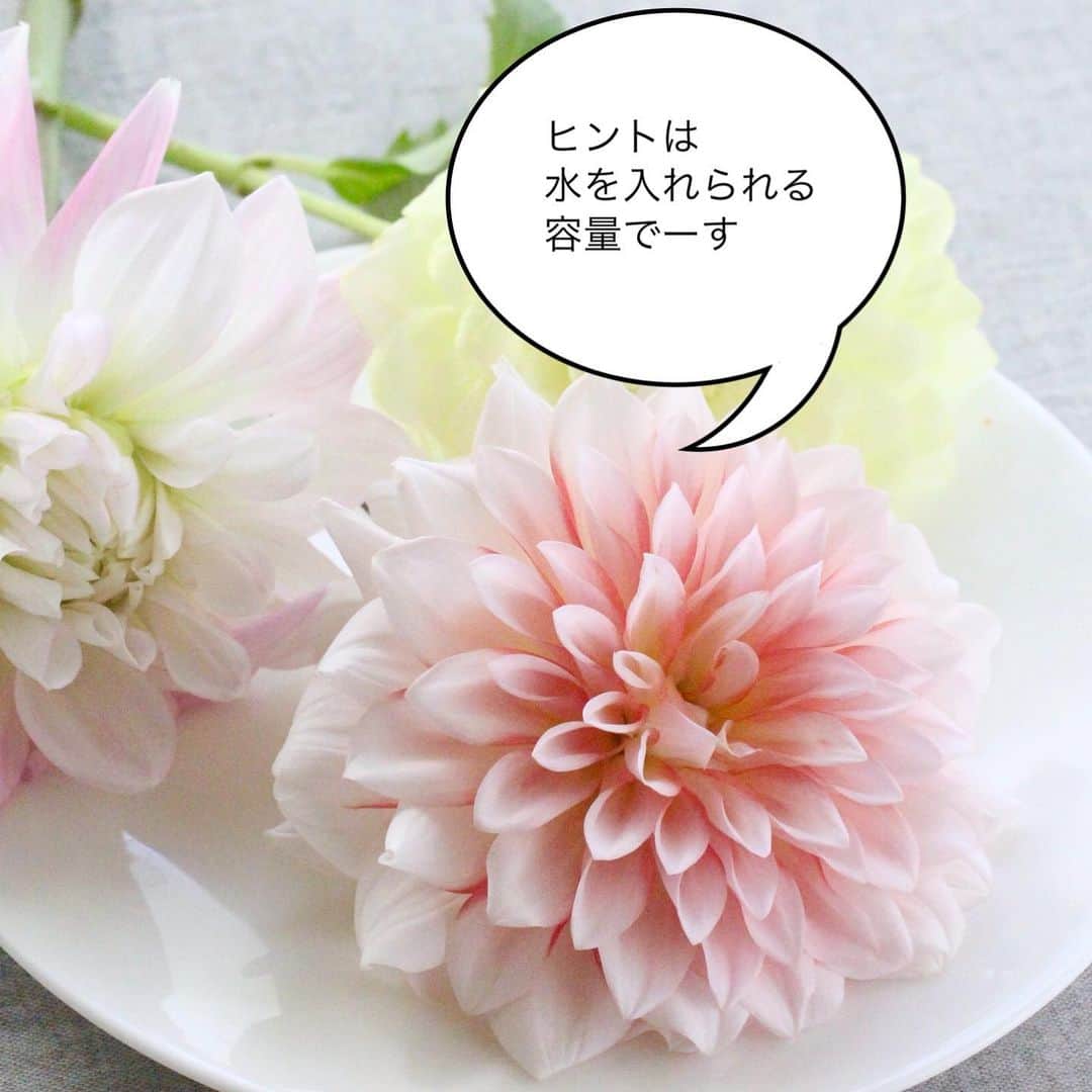 雑誌『花時間』さんのインスタグラム写真 - (雑誌『花時間』Instagram)「お花をいける器は、どんなものをお使いですか？  花時間（@hanajikan_magazine）です。  水を入れられる容量で、お花のもちに差がでるんです。  例に出したＡの器は、いわゆるラッパ形。口が広がり、下がすぼまっていますよね。  Ｂの円筒形と同じくらいの本数をいけられるけど、入れられる水の分量が違います。  下がすぼまっているぶん、お水は少なめ。あっ、脚のぶんもあるね。  これからの時期は、水温の上昇とともに、水中にバクテリアが発生しやすいシーズン。  水の汚れは、お花の寿命を縮める大きな要因。  入れられる水が少なければ少ないほど、バクテリアが繁殖したときに、より濃度が高くなってしまうんです。  かといって、水がたっぷり入る器なら、お手入れをサボってもいいわけではありません😅  清き水に美しき花が咲く！  水替えのときには、器の中も食器用洗剤できれいにしましょうね🧽  では、本日もお疲れさまでした。明日も元気smile😊😊😊で頑張りましょう！ byピーターパン  【花時間ニュース】 💜『花時間』から、花の定期便がスタートしました🥰　世界でここだけのバラと旬花が届く嬉しいサービスです💕  💜『花時間2023秋冬』〈春夏秋冬。季節のリース〉大好評発売中！  💜2023年『花時間』カレンダー絶賛発売中！  💜『花と短歌でめぐる 二十四節気 花のこよみ』大好評発売中  すべて @hanajikan_magazine のプロフィールのリンクから飛べます✈️  『花時間』本誌や書籍は全国の書店、ネット書店でも発売中✨  #花時間 #フラワーアレンジ #花が好き #フラワーベース  #花が好きな人と繋がりたい #花を飾る #花を飾る生活 #花屋さんへ行こう」4月18日 19時03分 - hanajikan_magazine