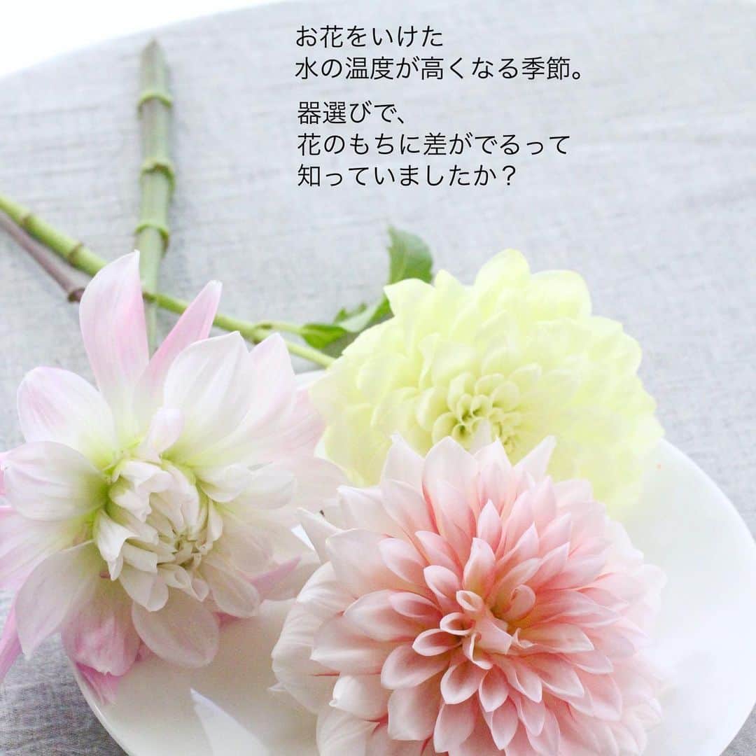 雑誌『花時間』さんのインスタグラム写真 - (雑誌『花時間』Instagram)「お花をいける器は、どんなものをお使いですか？  花時間（@hanajikan_magazine）です。  水を入れられる容量で、お花のもちに差がでるんです。  例に出したＡの器は、いわゆるラッパ形。口が広がり、下がすぼまっていますよね。  Ｂの円筒形と同じくらいの本数をいけられるけど、入れられる水の分量が違います。  下がすぼまっているぶん、お水は少なめ。あっ、脚のぶんもあるね。  これからの時期は、水温の上昇とともに、水中にバクテリアが発生しやすいシーズン。  水の汚れは、お花の寿命を縮める大きな要因。  入れられる水が少なければ少ないほど、バクテリアが繁殖したときに、より濃度が高くなってしまうんです。  かといって、水がたっぷり入る器なら、お手入れをサボってもいいわけではありません😅  清き水に美しき花が咲く！  水替えのときには、器の中も食器用洗剤できれいにしましょうね🧽  では、本日もお疲れさまでした。明日も元気smile😊😊😊で頑張りましょう！ byピーターパン  【花時間ニュース】 💜『花時間』から、花の定期便がスタートしました🥰　世界でここだけのバラと旬花が届く嬉しいサービスです💕  💜『花時間2023秋冬』〈春夏秋冬。季節のリース〉大好評発売中！  💜2023年『花時間』カレンダー絶賛発売中！  💜『花と短歌でめぐる 二十四節気 花のこよみ』大好評発売中  すべて @hanajikan_magazine のプロフィールのリンクから飛べます✈️  『花時間』本誌や書籍は全国の書店、ネット書店でも発売中✨  #花時間 #フラワーアレンジ #花が好き #フラワーベース  #花が好きな人と繋がりたい #花を飾る #花を飾る生活 #花屋さんへ行こう」4月18日 19時03分 - hanajikan_magazine