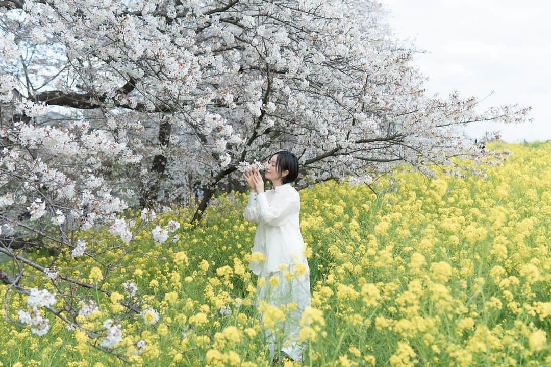 江守沙矢のインスタグラム：「壮観🌸  私の地元の自慢できる絶景 桜と菜の花のコントラストが最高にいい時期に @kawase_riko_official と行ってきて撮りあいっこしました♡  .  #熊谷桜堤 #日本桜100選 #日本さくら名所100選  #桜 #sakura #桜と菜の花 #日本の桜 #springflower #springday #kumagaya #ポートレート #portrait #springflower  #japanspring #japanesegirl  #さくら  #photo #photography 　#jalan_sakura2023 #sakuraportraits  #写真に物語を #物語のある写真を撮りたい  #カメラで日常に魔法を  #絵みたいな写真  #カメラ女子 #季節のポートレート #カメラのある生活　#透明感のある世界 #日々是好日　#日常をドラマチックに #日常をきりとる」