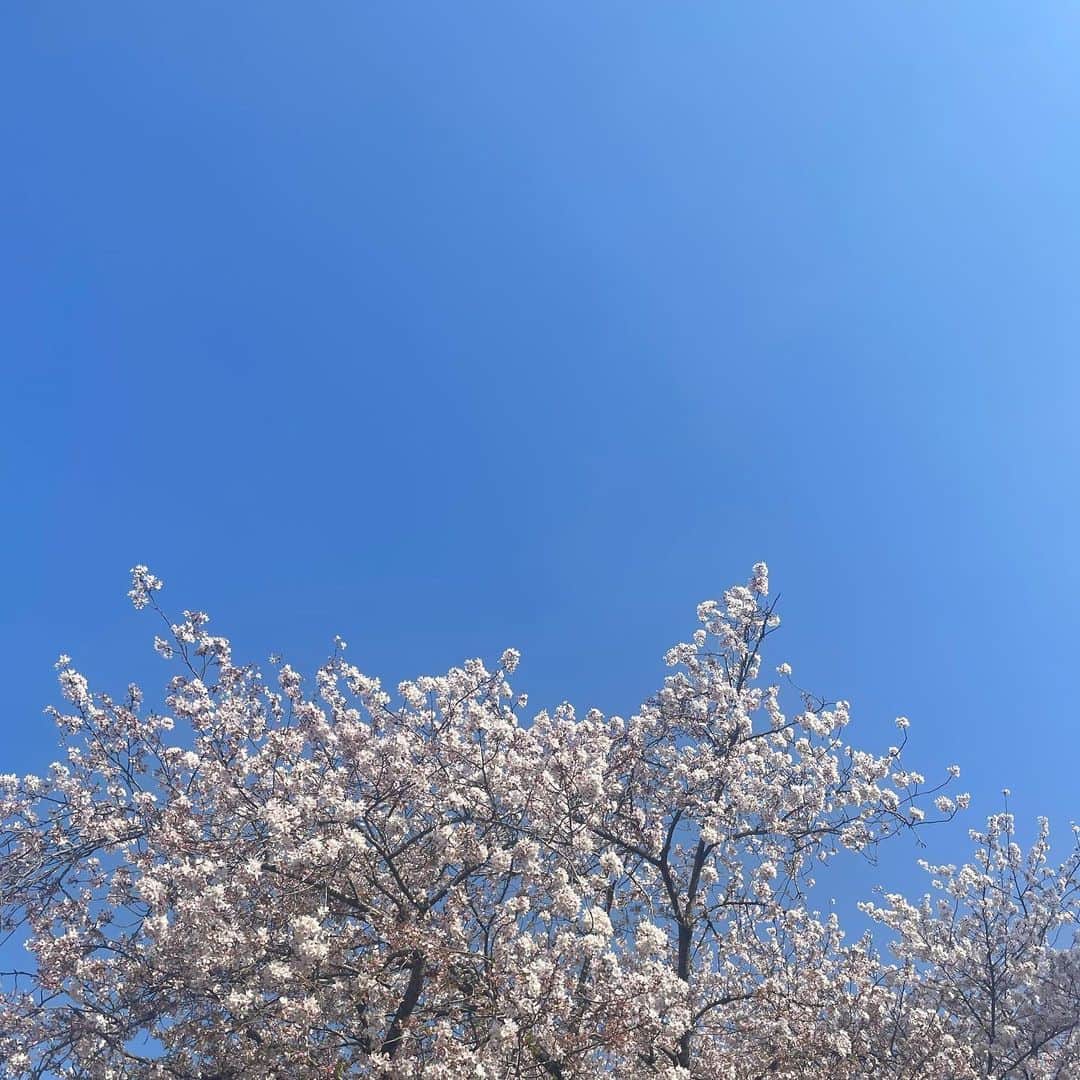 武田玲奈さんのインスタグラム写真 - (武田玲奈Instagram)「本日、NHKで夜10時〜育休刑事！ 始まります！お見逃しなく👮」4月18日 19時20分 - rena_takeda