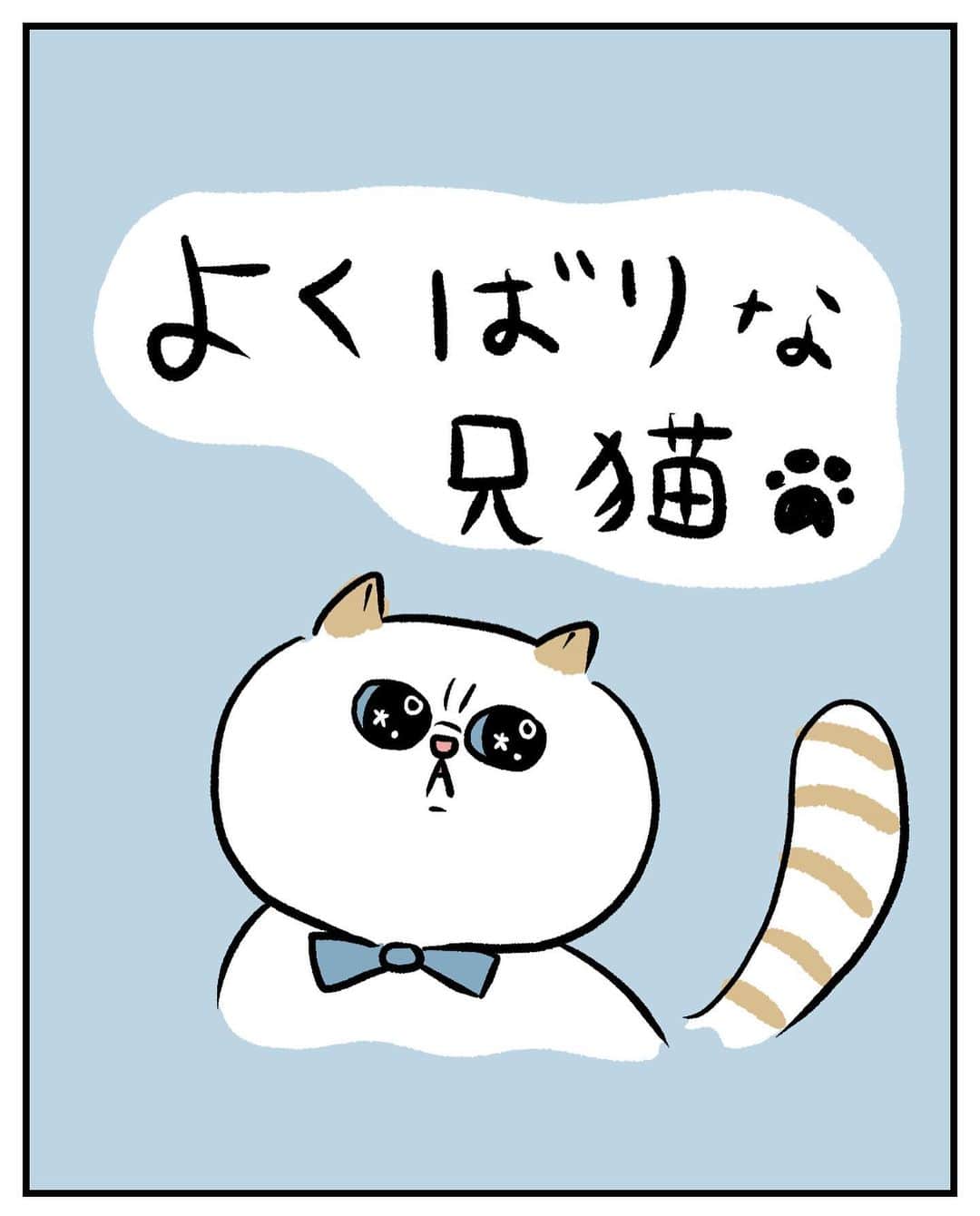 うえだしろこのインスタグラム：「・ ・ 5分前にじぶんのご飯は食べ終わっていたムサシ兄さんであった。 ・ じいさんか。 ・ ・ （この漫画描き終わった時に、前にも似たような話描いたような気がしたけど、せっかく描いたからアップしちゃう） ・ ・ #育児漫画 #育児日記 #育児絵日記 #コミックエッセイ #ライブドアインスタブロガー #猫のいる生活」