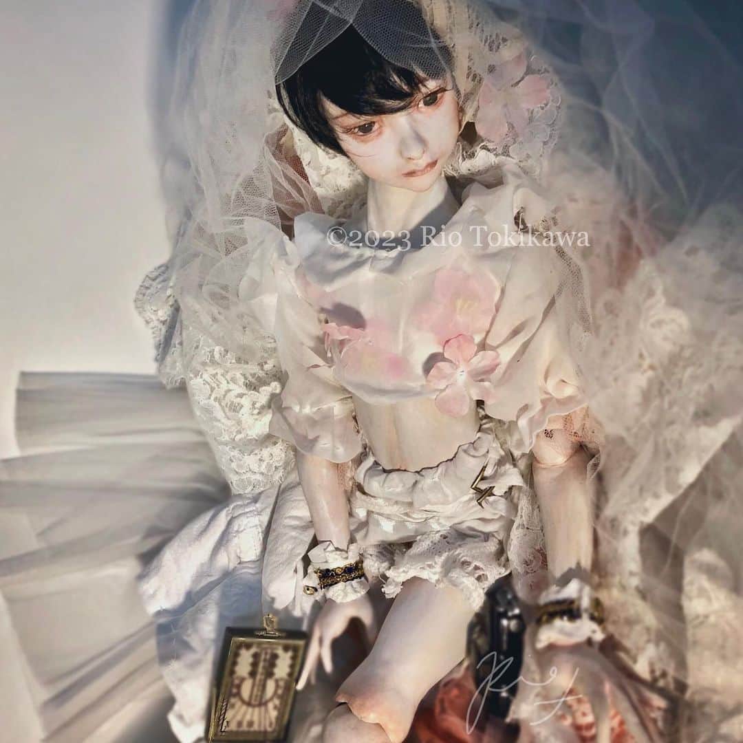 のインスタグラム：「I made a new costume toile. I wanna make a fragile but strong costume……There is still more work to be done. †††††††††††  新しい服のトワルを作ったのでとりあえず以前から作りかけの子に着せてみてます。  直すところも沢山あるけど雰囲気が掴めてよかった…………… 儚い戦闘服を意識してます、ゴリゴリにラブリーで退廃的にしたい  †††††††††††  #制作過程 #人形  #wipart  #球体関節人形  #bjd #originaldoll 　  #workinprogress #doll 　#fantasyart　#創作人形　#ドール　#dollclothes #toile」