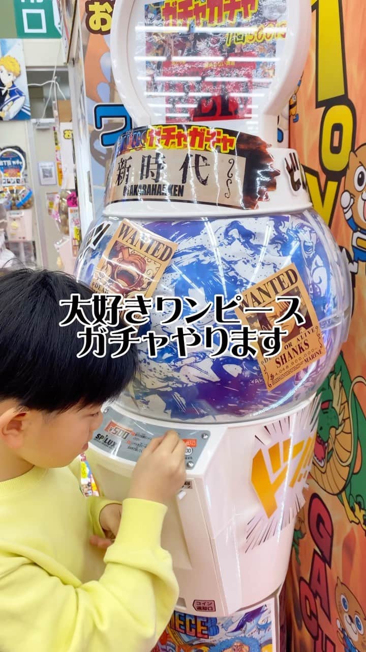 太陽チャンネルのインスタグラム：「お宝発見津山店さんのワンピースガチャ！ これ結構相性いい🫶 もっと上の賞狙いたいね！ がんばれつばさ！💪  #ワンピースガチャ #ワンピース #お宝発見津山店 #ゲーセン #お宝 #トレジャーパーク #ワーコレ」