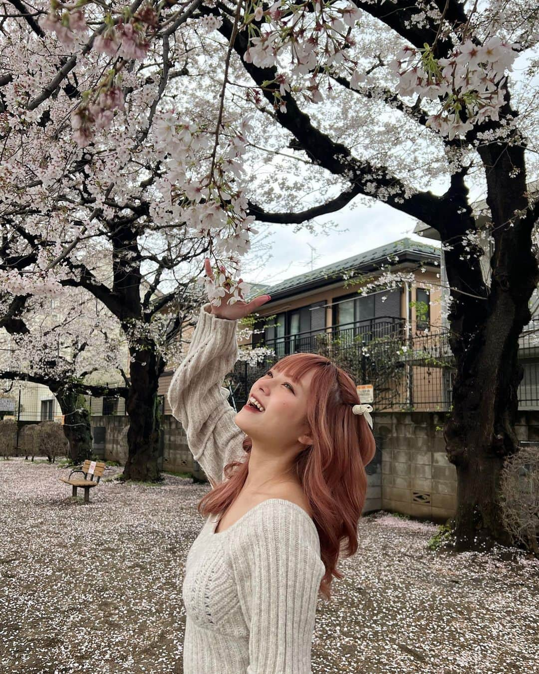 湯上響花さんのインスタグラム写真 - (湯上響花Instagram)「🦋🔮 桜、本当に大好き🌸 儚いのが良いんだよね〜〜🪽」4月18日 20時01分 - fantique_