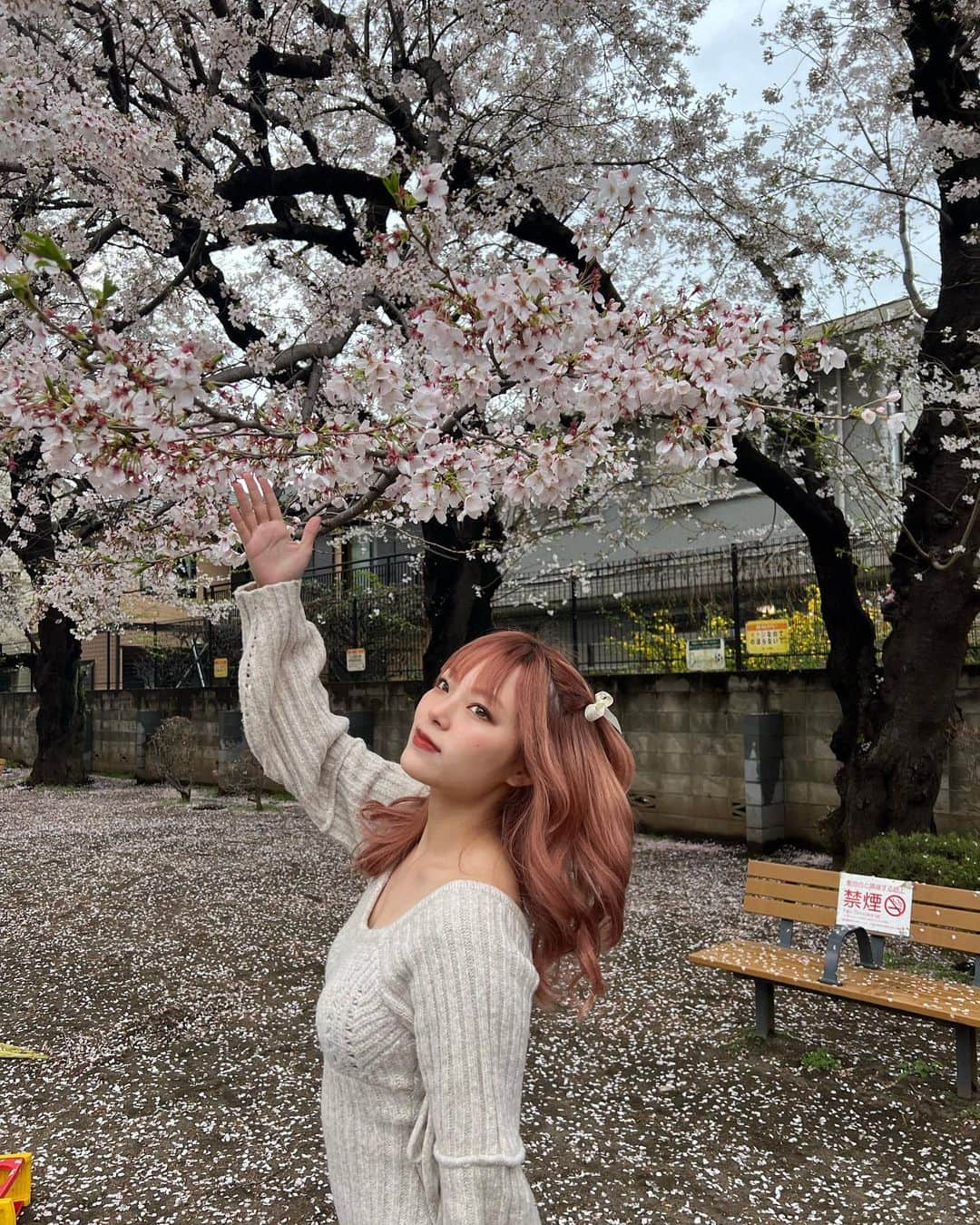 湯上響花さんのインスタグラム写真 - (湯上響花Instagram)「🦋🔮 桜、本当に大好き🌸 儚いのが良いんだよね〜〜🪽」4月18日 20時01分 - fantique_