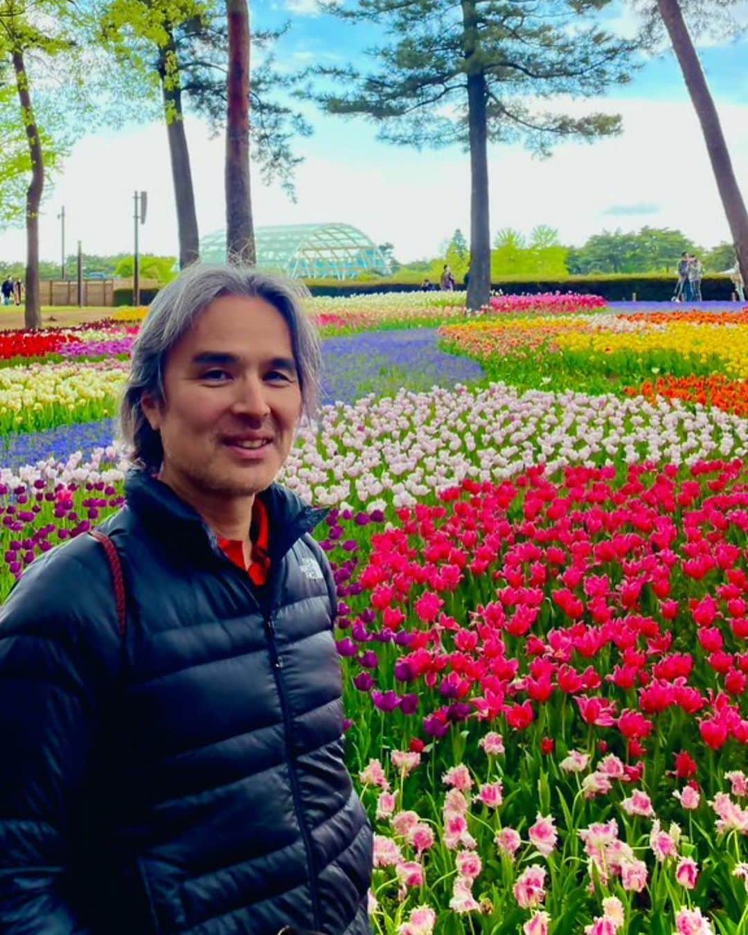 井上ヨシマサさんのインスタグラム写真 - (井上ヨシマサInstagram)「#flowers  #Tulips #hitachinaka #ibaraki  #ひたちなか海浜公園 #color」4月18日 20時07分 - yoshimasa444inoue