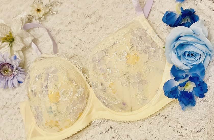 アンテシュクレのグルメインスタ