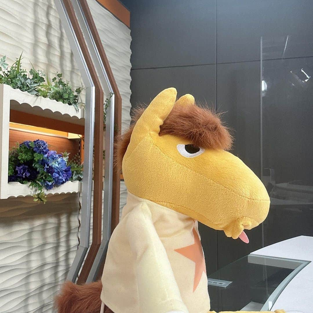 飯野詩帆さんのインスタグラム写真 - (飯野詩帆Instagram)「今日のうまたせくん🐴  横顔アップで撮ったら、解説者のような貫禄でした。  さて、明日は重賞「東京スプリント G3」💫 秋に行われる「東京盃」に並ぶ交流競争です！  私は久しぶりの場内リポートです！ 楽しみ〜🥺  スカパー　14:00〜 TOKYO MX、mキャス  15:20〜  #大井競馬 #大井競馬場  #tck #tokyocitykeiba  #生中継 #アナウンサー」4月18日 20時41分 - shiho.1180