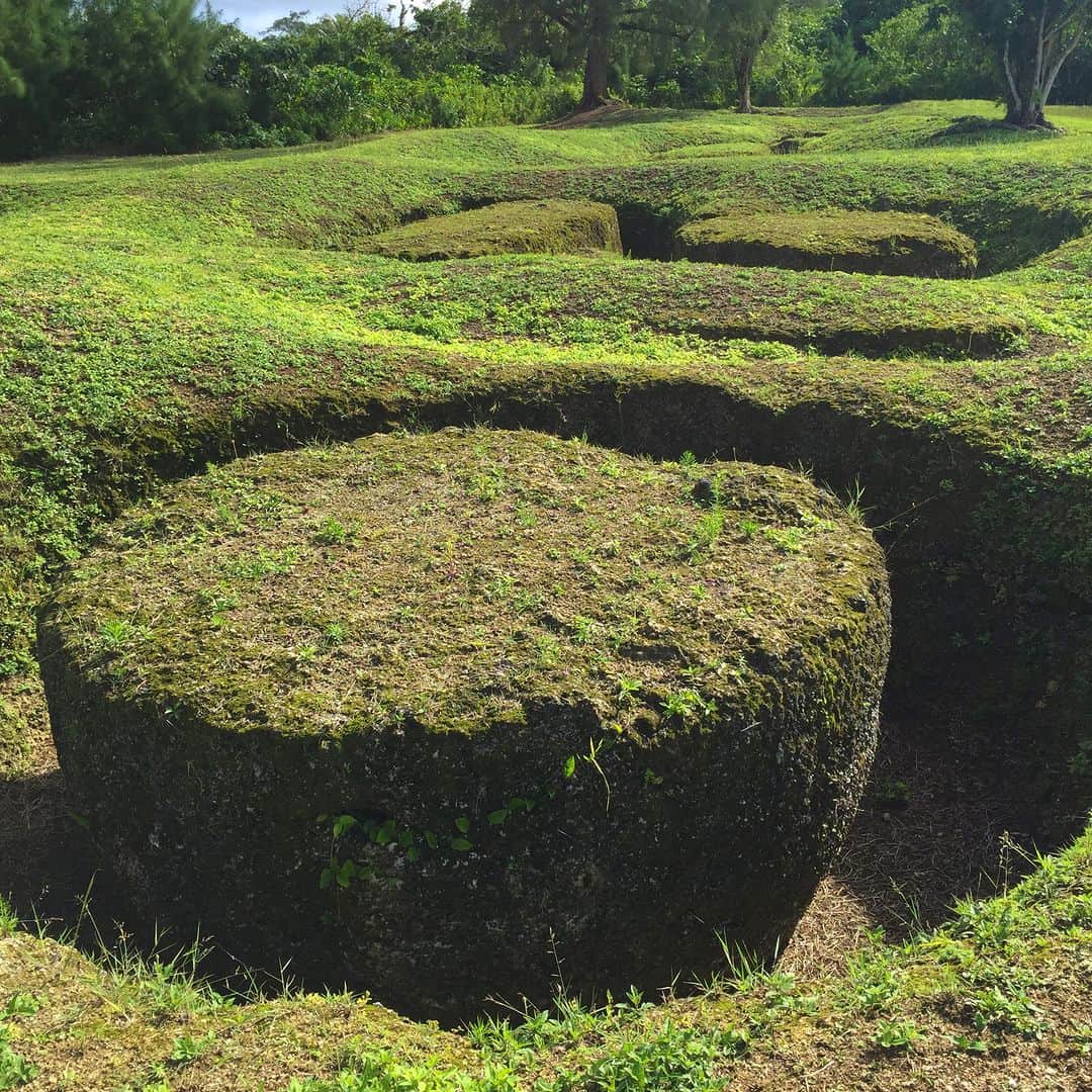 マリアナ政府観光局のインスタグラム：「📍 #タガストーン遺跡 / #tagastonequarry  　　　　　　　　　　　　　　　　　　　 マリアナに残る大きなタガストーン。その元となる石を切り出していたロタ島の採掘場では、切り出す途中のまま残された石を今も見ることができます。 　　　　　　　　　　　　　　　　　　　　　　　　　　　 いまだに解明されていない謎多き巨大なタガストーンの横たわる姿を見ると古代に思いを馳せてしまいますね。 テニアン島に残るタガ遺跡とあわせて行きたいスポットです。 　　　　　　　　　　　　　　　　　　　　　　　　　　　 　　　　　　　　　　　　　　　　　　　　　　　　　　　 ＊＊＊＊＊＊＊＊＊＊＊＊＊＊＊＊＊＊＊＊＊＊＊＊ 　◤ LINE公式アカウントはじめました！ 　　登録 ⏩ https://lin.ee/B0xikK8　 ◢ ＊＊＊＊＊＊＊＊＊＊＊＊＊＊＊＊＊＊＊＊＊＊＊＊ 　　　　　　　　　　　　　　　　　　　　　　　　　　　 　　　　　　　　　　　　　　　　　　　　　　　　　　　 🌺・……・🌺 ▼ サイパン直行便就航記念！サンキューセールで3万円お得にサイパンへ行こう！ https://japan.mymarianas.com/news/13224/ 　　　　　　　　　　　　　　　　　　　　　　　　  ￣￣￣￣￣￣￣￣￣￣￣￣ @mymarianas_mva ではサイパン、テニアン、ロタの観光情報やキャンペーン情報を紹介しています。フォローして旅行準備に役立ててくださいね。　 　　　　　　　　　　　　　　　　　　　　　　　　　　　　　　　　　　　　　 2022/9/1 成田～サイパン 🏝 直行便就航 成田発　週3便（火・木・日） 　　　　　　　　　　　　　　　　　　　　　　　　　 ＿＿＿＿＿＿＿＿＿＿＿＿  　　　　　　　　　　　　　　　　　　　 #ロタ #ロタ島 #マリアナ #ラッテストーン #採掘場 #神秘的な場所  #島旅 #離島巡り #フォトスポット #マリアナ旅行 #サイパン #テニアン  #海外旅行 #夏旅 #rota #rotaisland #awesome_earthpix #stonequarry #islandlife #historicalplace」
