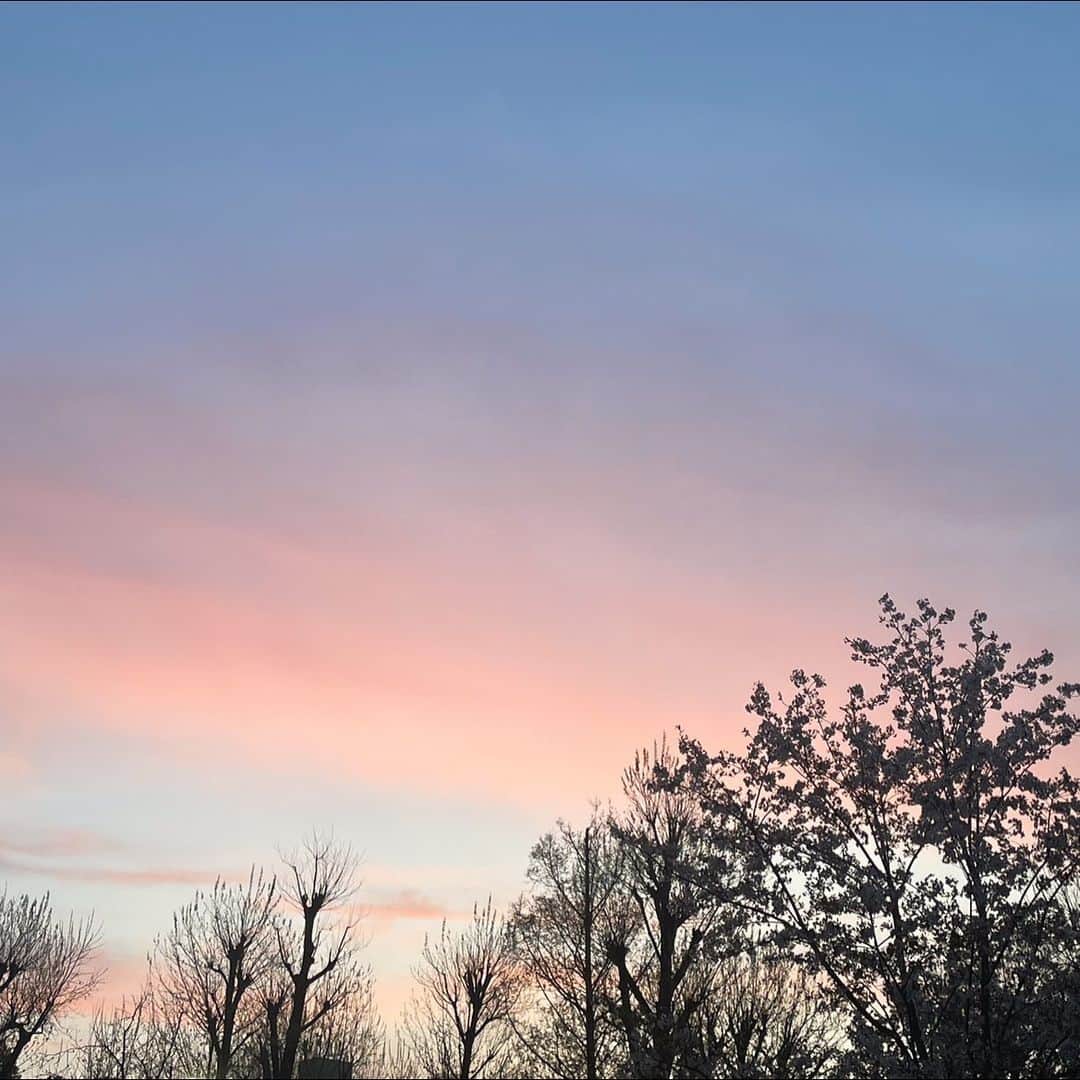 新田湖子さんのインスタグラム写真 - (新田湖子Instagram)「ピンク色の空🌸🩰」4月18日 21時08分 - coconitta0809
