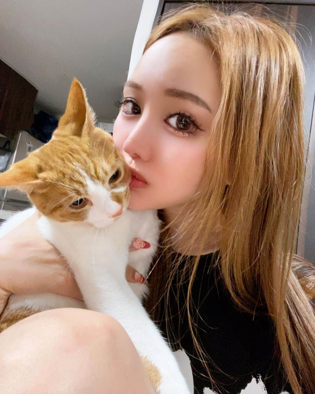 桜ゆみさんのインスタグラム写真 - (桜ゆみInstagram)「酔った私に捕まってしまった可哀想な子猫🐱  嫌がるファムを無理やり抱き寄せてる… ごめんね…🥺  でもいつも私のこと踏みつけてくるから おあいこ🫶🌹🌹笑  イカ耳で抵抗してかわいいね😻😻😻  . #保護猫と暮らす幸せ」4月18日 22時02分 - yumi.sakura1111