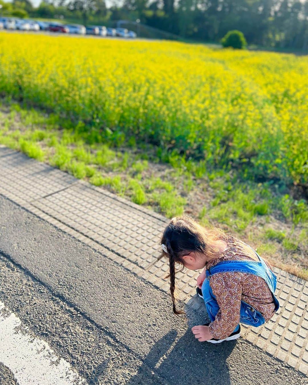 菊井彰子のインスタグラム