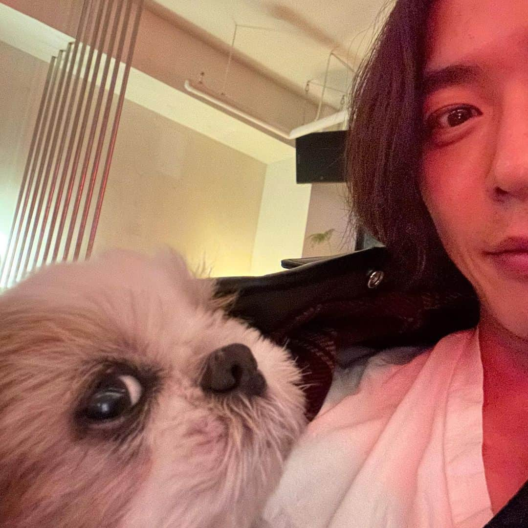 キム・ジェウクさんのインスタグラム写真 - (キム・ジェウクInstagram)「🐶」4月18日 23時02分 - jaeuck.kim