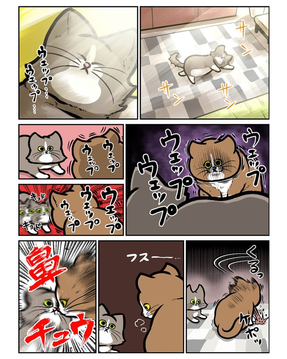 鴻池剛のインスタグラム：「2匹が熱かった時の日記 #ぽんた #アルフ #猫漫画」