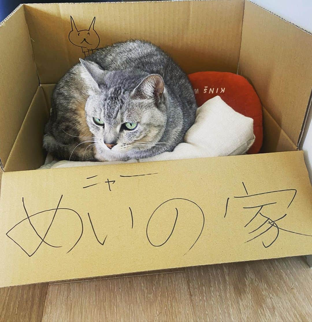 板谷由夏 のインスタグラム：「この間、ちいさいにいにいが泣いていたので チュウしてなぐさめたら 家を作ってくれたです。 ラッキー🤞 みなさん、おやすみなはい。 今日もおつかれさまでした。」