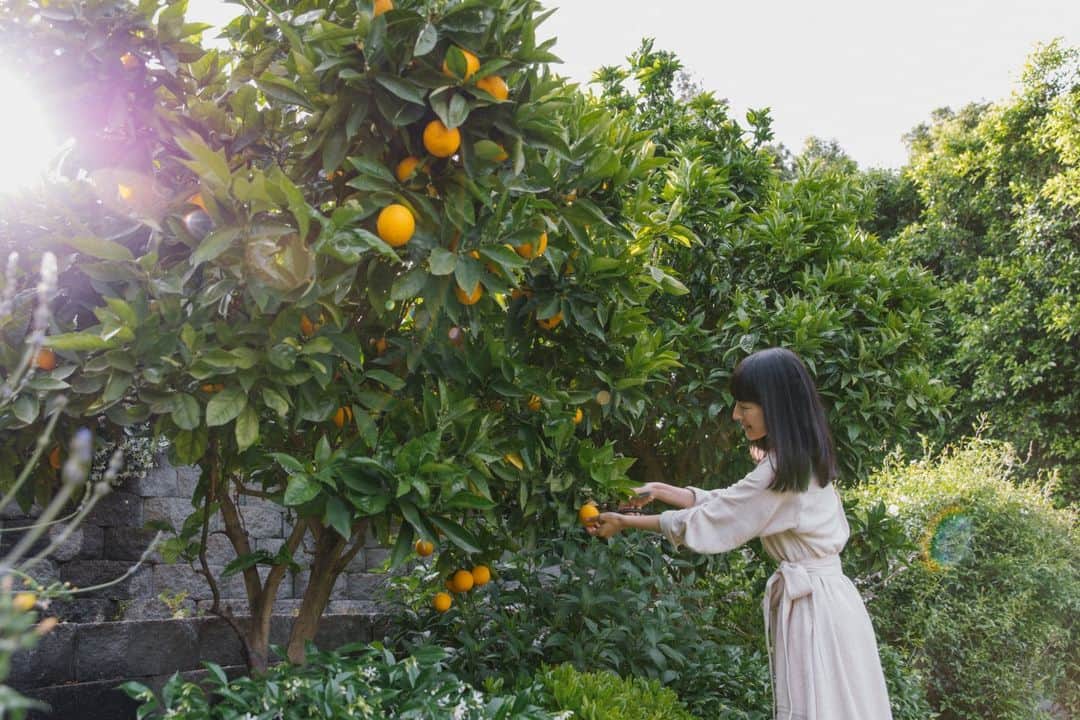 近藤麻理恵のインスタグラム：「Plants and gardens are essential to our collective sense of kurashi, which is why gardening has always been one of my passions. If you're interested in getting started, @konmari.co put together an amazing guide for beginners. Click the link in my bio to learn more!」
