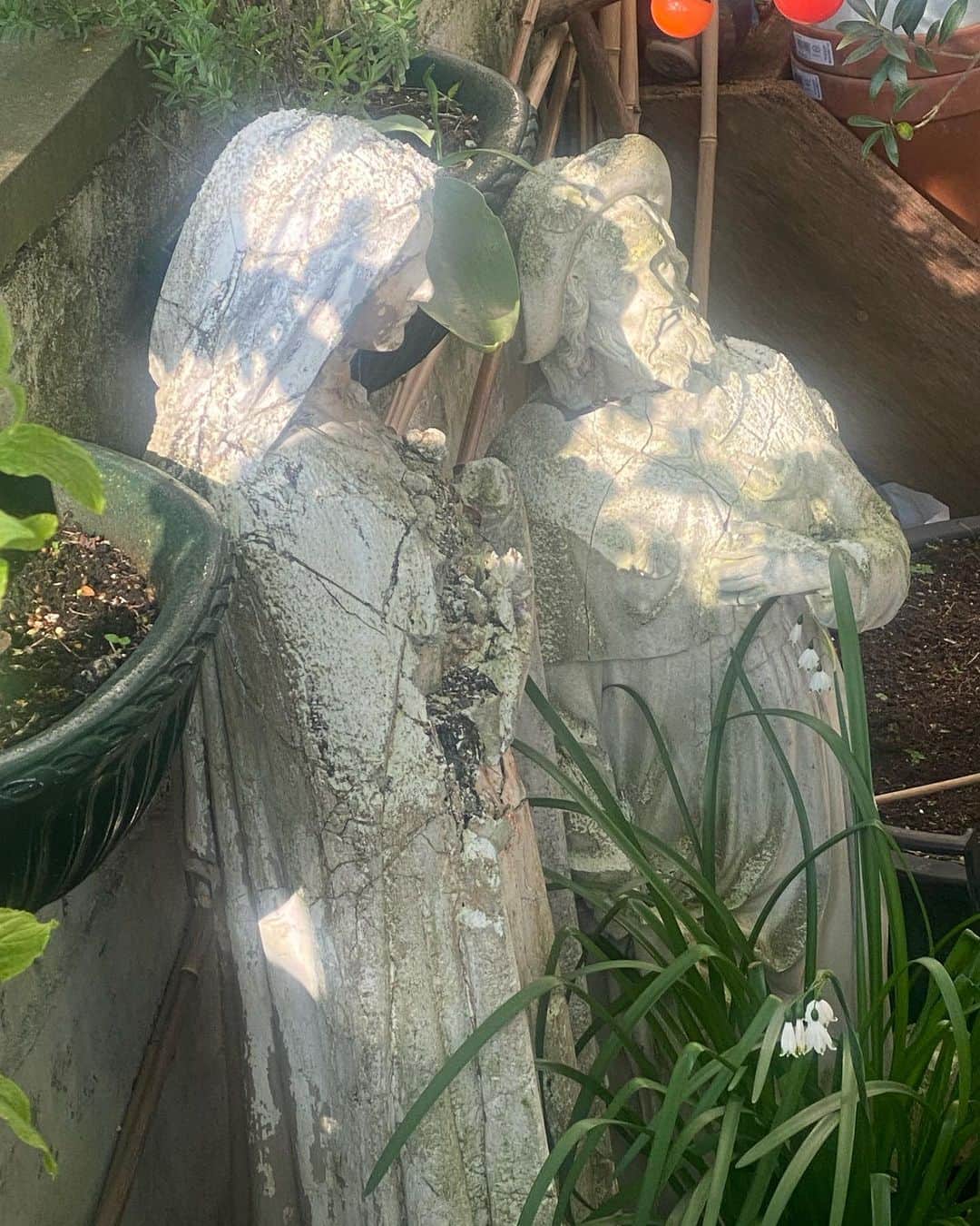 アムステルダム・タトゥー・ミュージアムのインスタグラム：「St teresa and st rogues in the garden#heiligetheresia  #saintroque #」