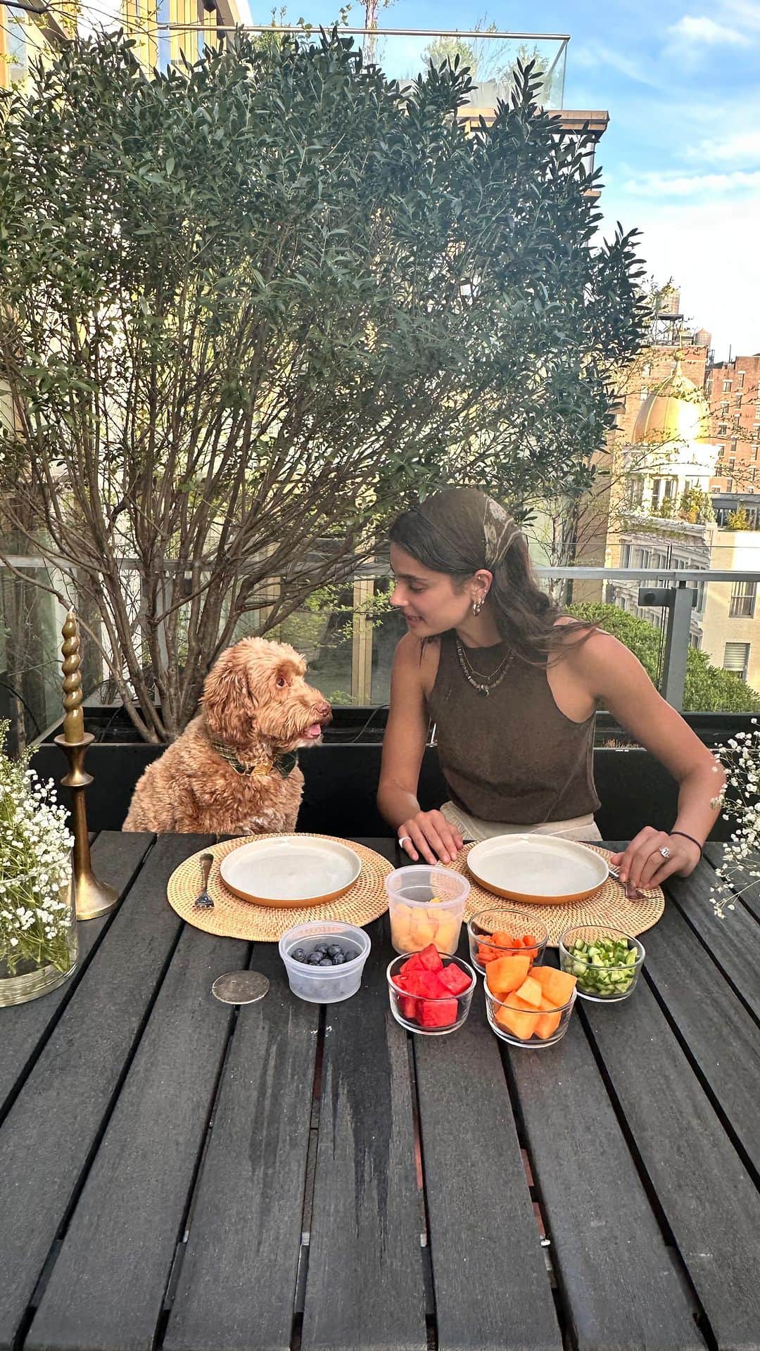 テイラー・ヒルのインスタグラム：「This was fun 🤗 (all foods have been approved by Tate’s Vet! Make sure to check with one before feeing anything to your doggo)」