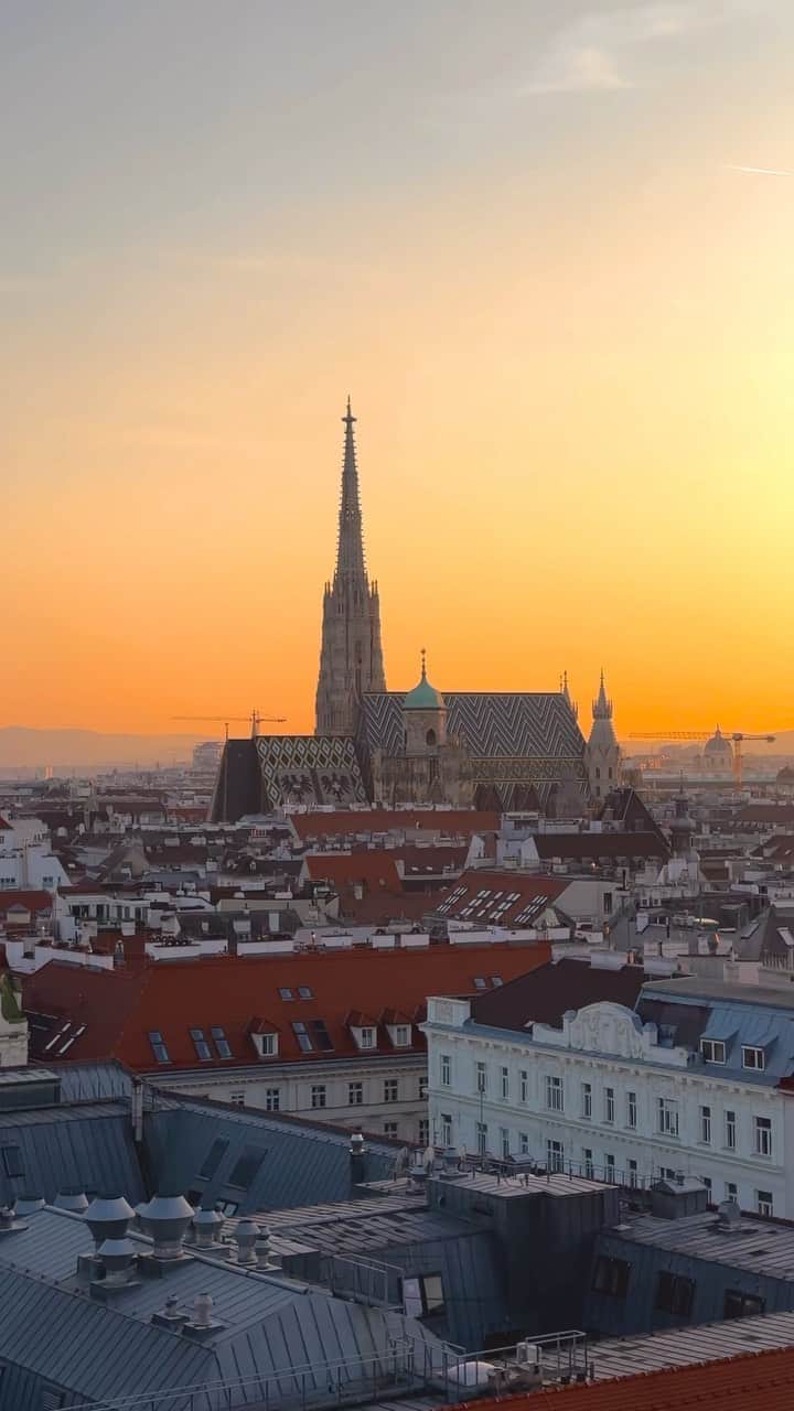Wien | Viennaのインスタグラム：「A magical sunset above #Vienna! 🌇😍 #ViennaNow  #vienna #wien #vienna_austria #vienna_city #visitvienna #viennagram #wienliebe #viennaaustria #viena #viennablogger #stephansdom #ststephenscathedral #sunset #sunsetlovers #sunsets #orangesky #amazingview #amazingviews #traveleurope #travelgram #traveltheworld #views」