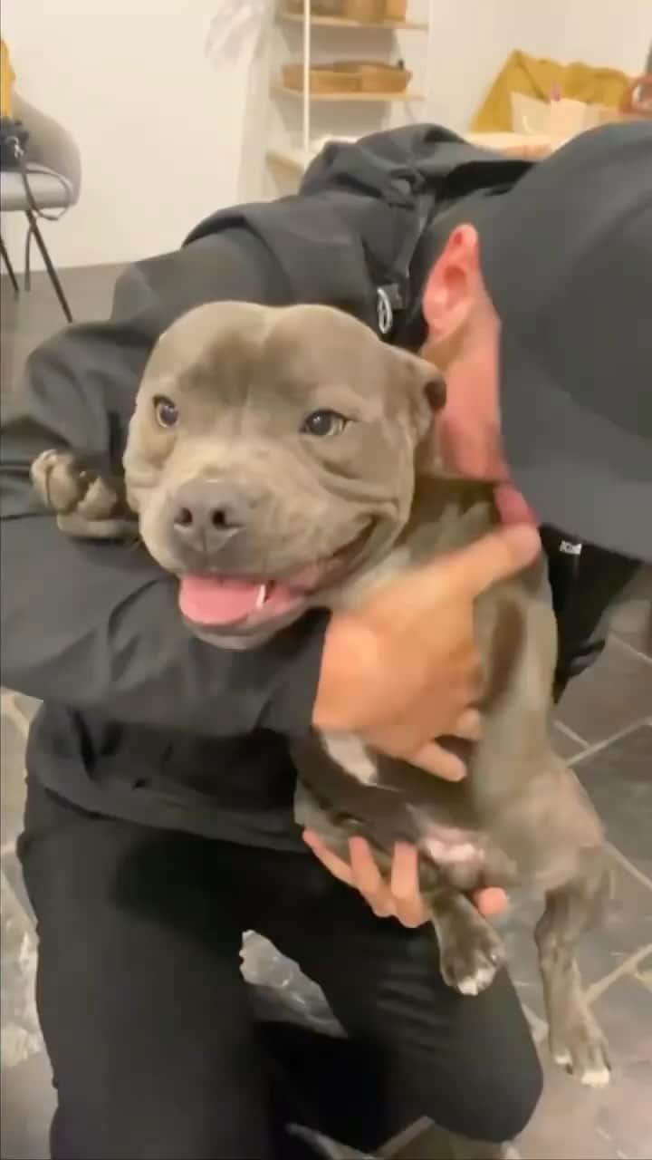 Pit Bull - Fansのインスタグラム：「Dad love 💕  - @tommybluestaff」