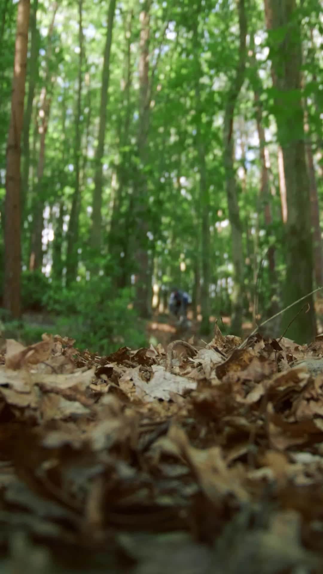 Shimanoのインスタグラム：「Can’t get enough of that magic feeling? Get an exclusive behind-the-scenes peek as @samreynolds26 and his crew turn the world into their MTB playground. Watch them build wild jumps, ridges, branches, and bridges.   🔗 Watch Behind the Scenes at Magic Feeling with @samreynolds26, @tahneeseagrave, @kaosseagrave and @davidmcmillan using the link in bio.   #ShimanoMTB #MakeYourMark #MagicFeeling」