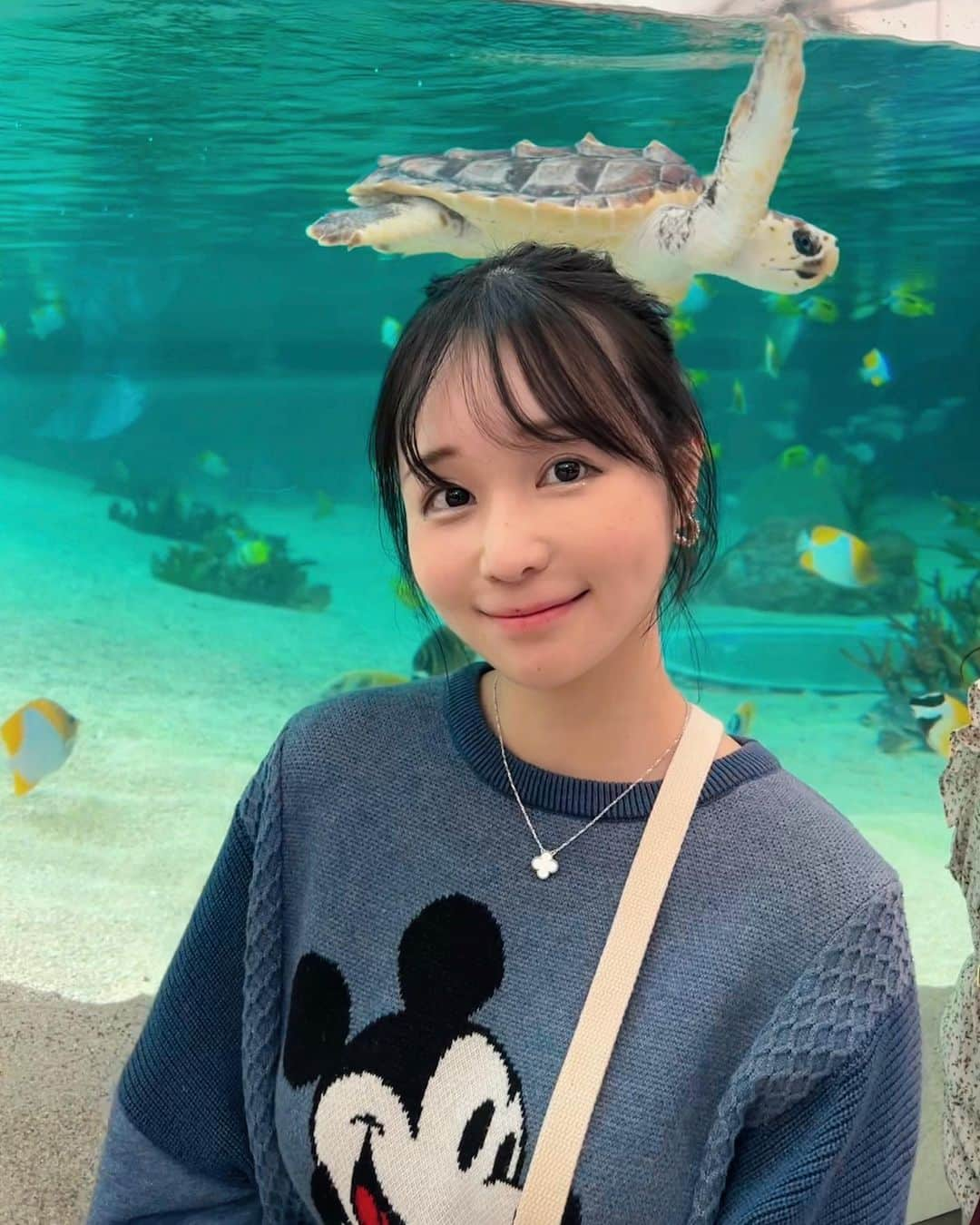 茜さやさんのインスタグラム写真 - (茜さやInstagram)「ヴィラの後みんなで　#鴨川シーワールド 🐠💕 （一枚目少し見切れるもこちゃん🫶）  久しぶりに水族館へ行ったけど可愛すぎた！！！！  亀が1番可愛かったなぁ🐢✨ 頭に乗った！！ていう写真…笑 リアルタートルトークだった🥺笑  思った2倍くらいの時間みんなで見入っててやっぱり水族館て魅力的だなぁてなりました…  また行きたいな！🐠🫧  #水族館　#鴨川　#水族館好きな人と繋がりたい #🐢　#亀　#タートル　#turtle #kamogawa #aquarium」4月19日 1時32分 - saya.akane