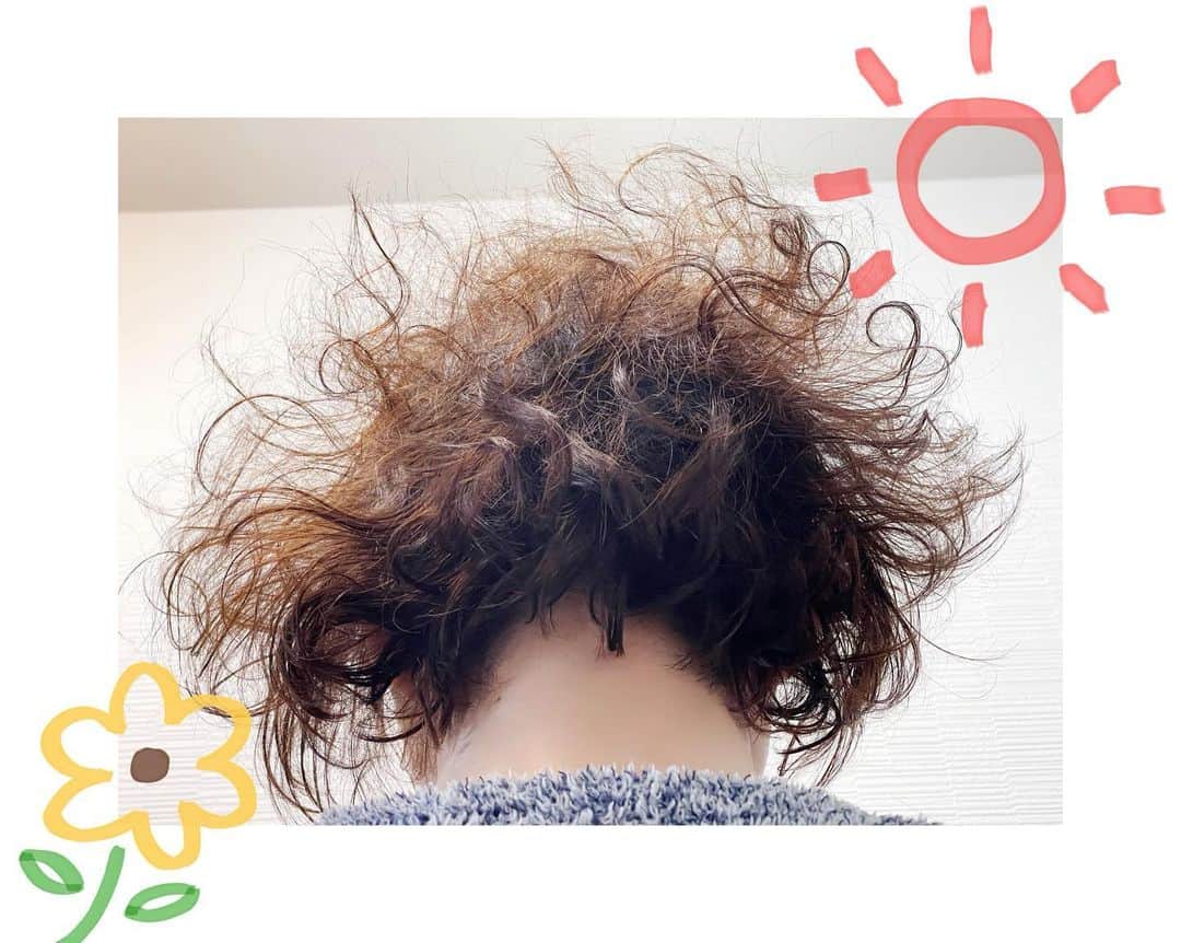恒松あゆみのインスタグラム：「毎朝ね。  もじゃもじゃになっちゃうのよ。   #寝癖   #天パにつき   #もじゃもじゃ」