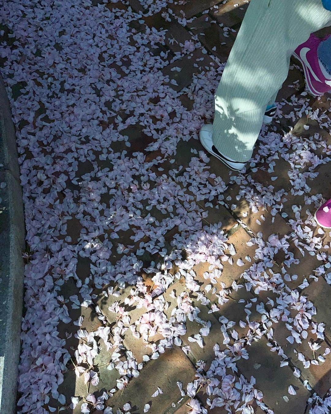キム・ナヨンさんのインスタグラム写真 - (キム・ナヨンInstagram)「떨어지는 꽃잎 잡으면 소원 이루어지는 거 알죠? 이준이 오늘 등원길에 성공! 🌸 모두 꽃잎 잡는 하루 되세요❤️」4月19日 11時22分 - nayoungkeem