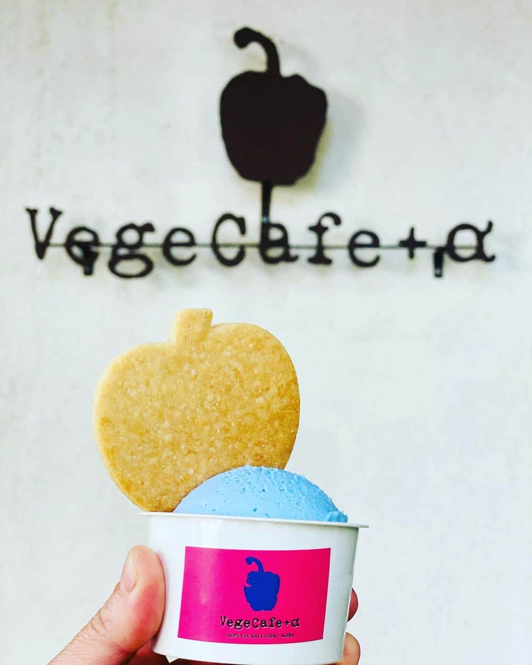 vegecafe＋αのインスタグラム：「ブルーなソルティミルク🐮  ブルーなソルティミルクという ネーミングだけあって、 鮮やかな色が目をひく フォトジェニック系ジェラート🍨✨  見た目だけでなく、 ほんのりきかせた塩気が より濃厚ミルクの甘味をひきたてる 絶品人気フレーバーのひとつです😋  米粉のヴィーガンクッキーをそえて🍎  #vegecafe#vegecafe_plus_α #ベジカフェ#ベジカフェプラスアルファ #ベジカフェプラスアルファー #新大阪グルメ #新大阪カフェ #新大阪ランチ#西中島南方グルメ #西中島グルメ #西中島南方ランチ #西中島南方カフェ #ジェラート#アイス部 #ジェラート屋さん」