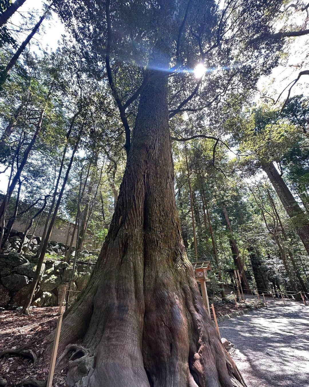 廣田奈々さんのインスタグラム写真 - (廣田奈々Instagram)「beautiful place🫶🏽🇯🇵🌿✨」4月19日 11時39分 - nana_hirota