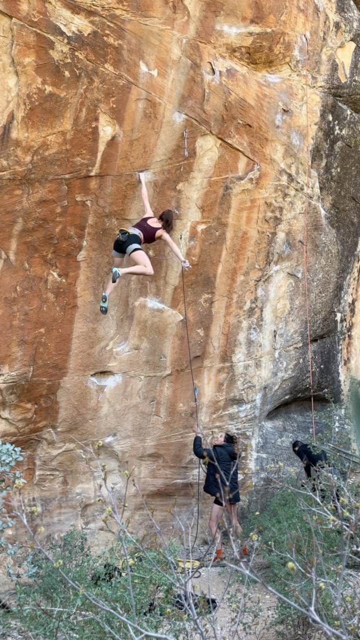 ペイジー・クラッセンのインスタグラム：「Contrary to popular belief, comp moves exist outside, moms can dyno, and unicorns exist. A fun one move wonder at the Secret 13 wall during an action packed week visiting lots of people I love. This pitch made possible by a belay from @ltjian and baby nap time by @arjandekock.  ✅ Herbivore Dyno-soar 🦕  @lasportivana @maximropes @physivantage」