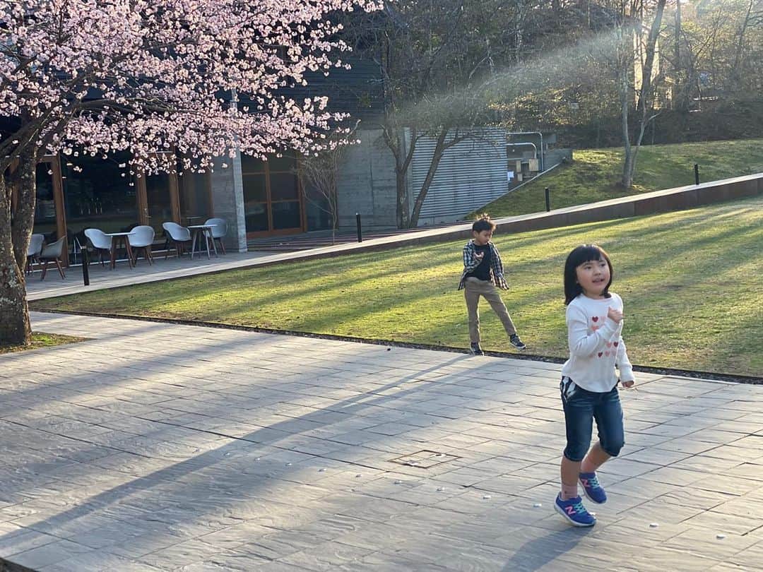 のインスタグラム：「来月中旬に手術を控えていたのですが 昨日の朝、緊急手術となり入院しています  急なことでご迷惑をおかけしております」