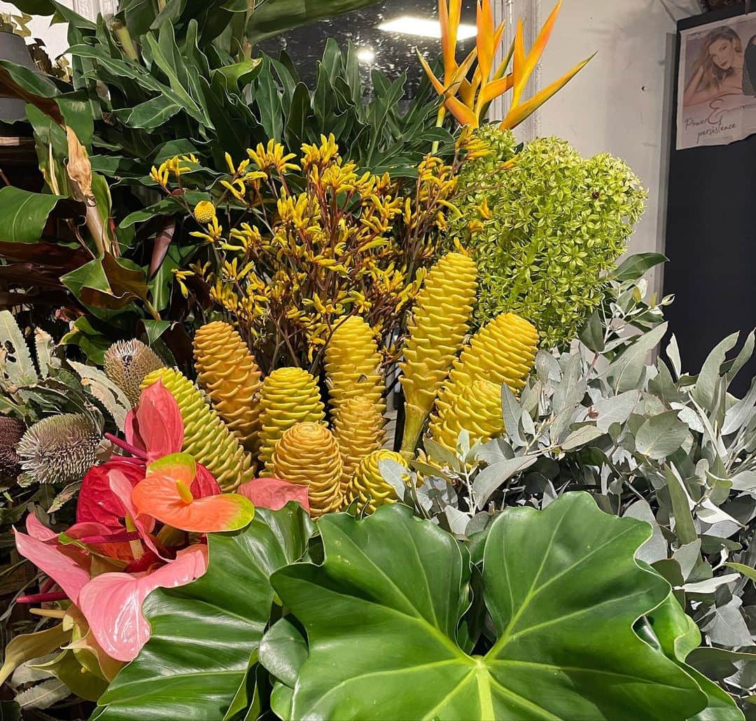 薄田ジュリアさんのインスタグラム写真 - (薄田ジュリアInstagram)「☑︎ こちらで良く見かける花（＾ω＾）  一見扱うのが難しそうだけど…可愛い♡  #オーストラリア原産 #wildflowers  #banksia」4月19日 5時48分 - julia_usuda