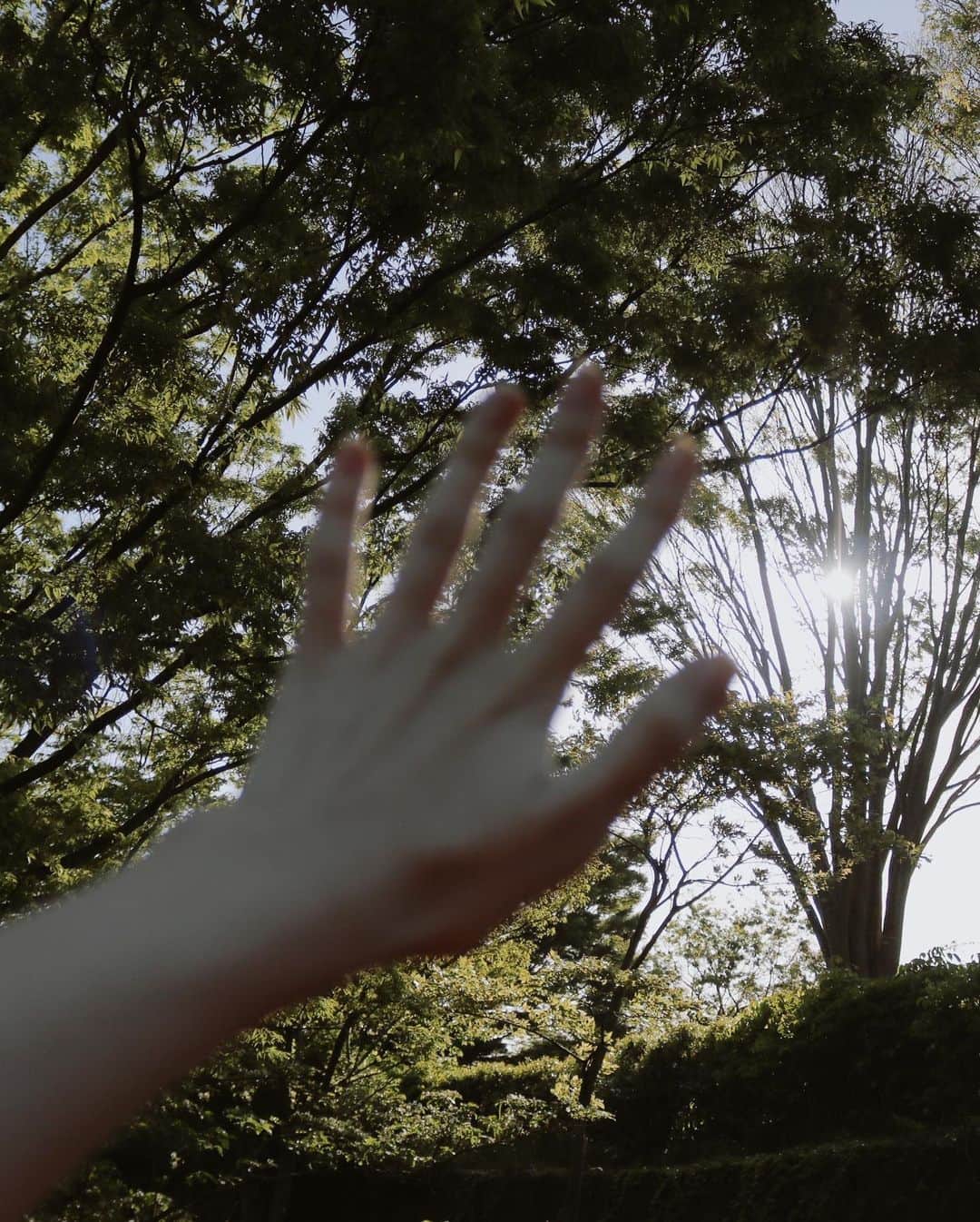 前野えまさんのインスタグラム写真 - (前野えまInstagram)「緑の中で…  Silence reigned in the forest. ・ ・ #goodmorning  #nature  #naturephotography #girlportrait #actress #actor #girl #photography #portrait #japanesegirl #portraitphotography #daily_phot_jpn #japan_daytime_view」4月19日 6時24分 - maeno_ema