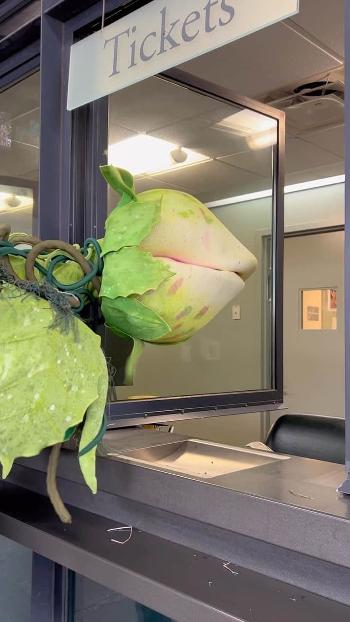 ニューヨーク植物園のインスタグラム：「Twoey had a bit TOO much fun on her trip to the @nybg…   #LittleShopofHorrors #LittleShopNYC #NYBG #NewYorkBotanicalGarden #Musicals #OffBroadwayMusicals #Flowers」