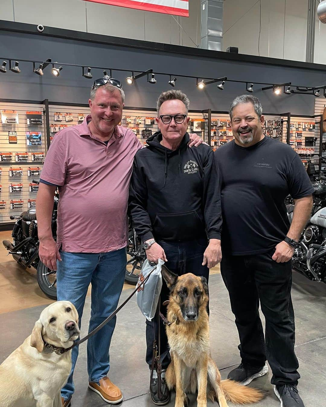 ロバート・パトリックさんのインスタグラム写真 - (ロバート・パトリックInstagram)「Blitz brought Vespa to see @santaclaritaharley today and we made some new friends! @guidedogsofamerica @glendaleharley @harleydavidson #lab #labrador #germanshepherd #germanshepherdsofinstagram #labradorretriever #labradorsofinstagram #dog #dogs #harleydavidson」4月19日 6時42分 - ripfighter