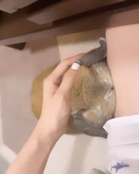 来栖りんのインスタグラム