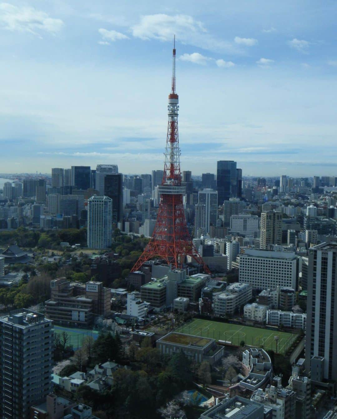 けみおさんのインスタグラム写真 - (けみおInstagram)「spring in tokyo🧚🏻‍♂️🌸 🇯🇵」4月19日 12時40分 - mmkemio