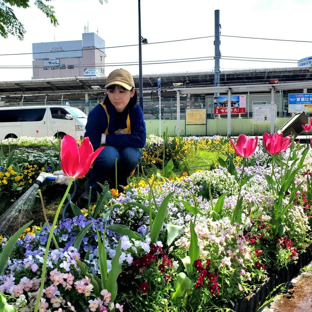 水野友貴さんのインスタグラム写真 - (水野友貴Instagram)「AKB(我孫子駅北口美化活動)の当番で我孫子駅北口の花壇の整備を行いました🌷 選挙後初の当番でしたが、改めて、花は良いなぁと思いました✨ 「綺麗になりますように」と気持ちを込めてお水をあげると、本当に自分の心も洗われるかのよう✨この活動は大好きです☺️ #akbプロジェクト #AKB  #我孫子駅 #我孫子駅北口 #花壇ボランティア #花壇の花 #花壇 #花壇整備  #水野ゆうき  #千葉県議会議員  #我孫子 #我孫子市」4月19日 12時40分 - mizunoyuuki