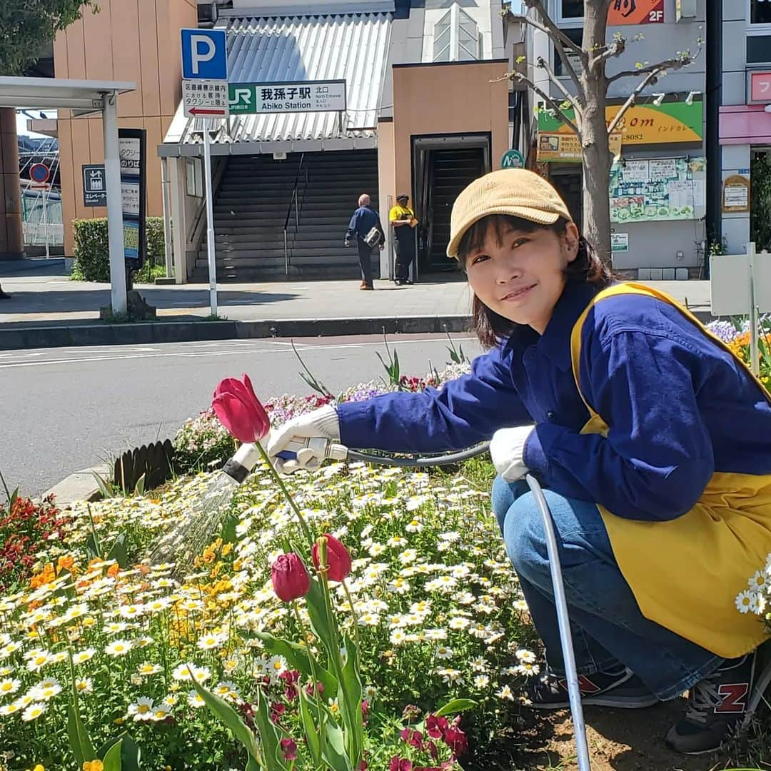 水野友貴さんのインスタグラム写真 - (水野友貴Instagram)「AKB(我孫子駅北口美化活動)の当番で我孫子駅北口の花壇の整備を行いました🌷 選挙後初の当番でしたが、改めて、花は良いなぁと思いました✨ 「綺麗になりますように」と気持ちを込めてお水をあげると、本当に自分の心も洗われるかのよう✨この活動は大好きです☺️ #akbプロジェクト #AKB  #我孫子駅 #我孫子駅北口 #花壇ボランティア #花壇の花 #花壇 #花壇整備  #水野ゆうき  #千葉県議会議員  #我孫子 #我孫子市」4月19日 12時40分 - mizunoyuuki