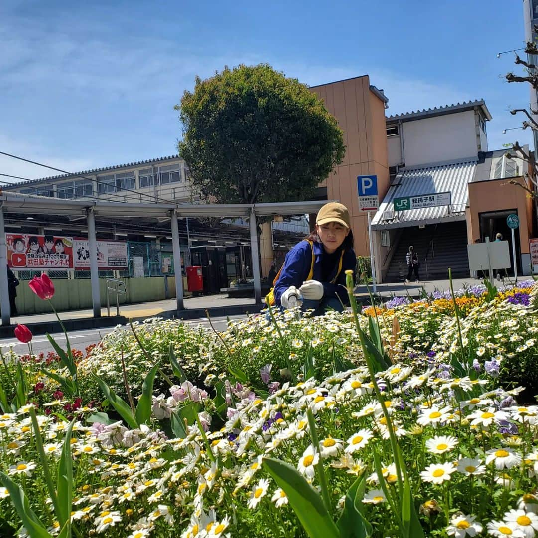 水野友貴さんのインスタグラム写真 - (水野友貴Instagram)「AKB(我孫子駅北口美化活動)の当番で我孫子駅北口の花壇の整備を行いました🌷 選挙後初の当番でしたが、改めて、花は良いなぁと思いました✨ 「綺麗になりますように」と気持ちを込めてお水をあげると、本当に自分の心も洗われるかのよう✨この活動は大好きです☺️ #akbプロジェクト #AKB  #我孫子駅 #我孫子駅北口 #花壇ボランティア #花壇の花 #花壇 #花壇整備  #水野ゆうき  #千葉県議会議員  #我孫子 #我孫子市」4月19日 12時40分 - mizunoyuuki