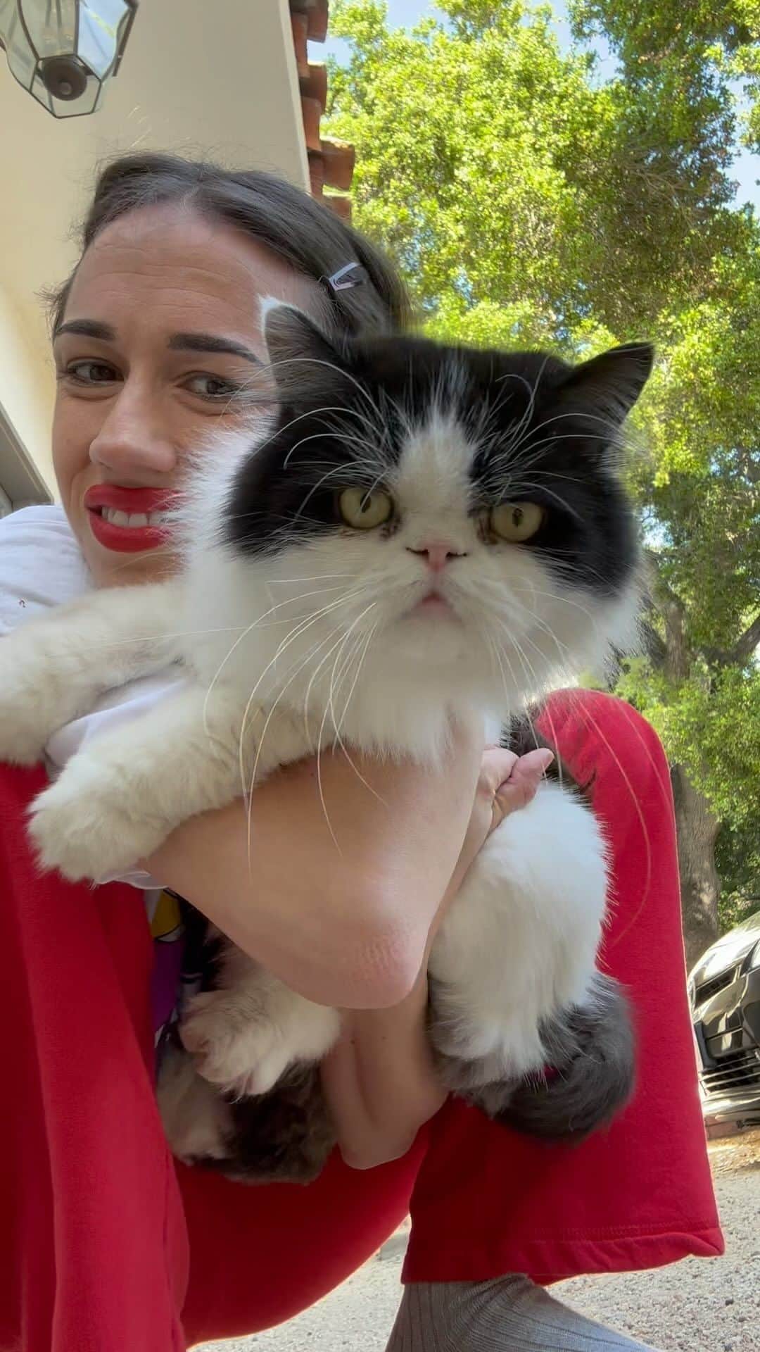 ミランダ・シングスのインスタグラム：「Taking a pic with a cat.」