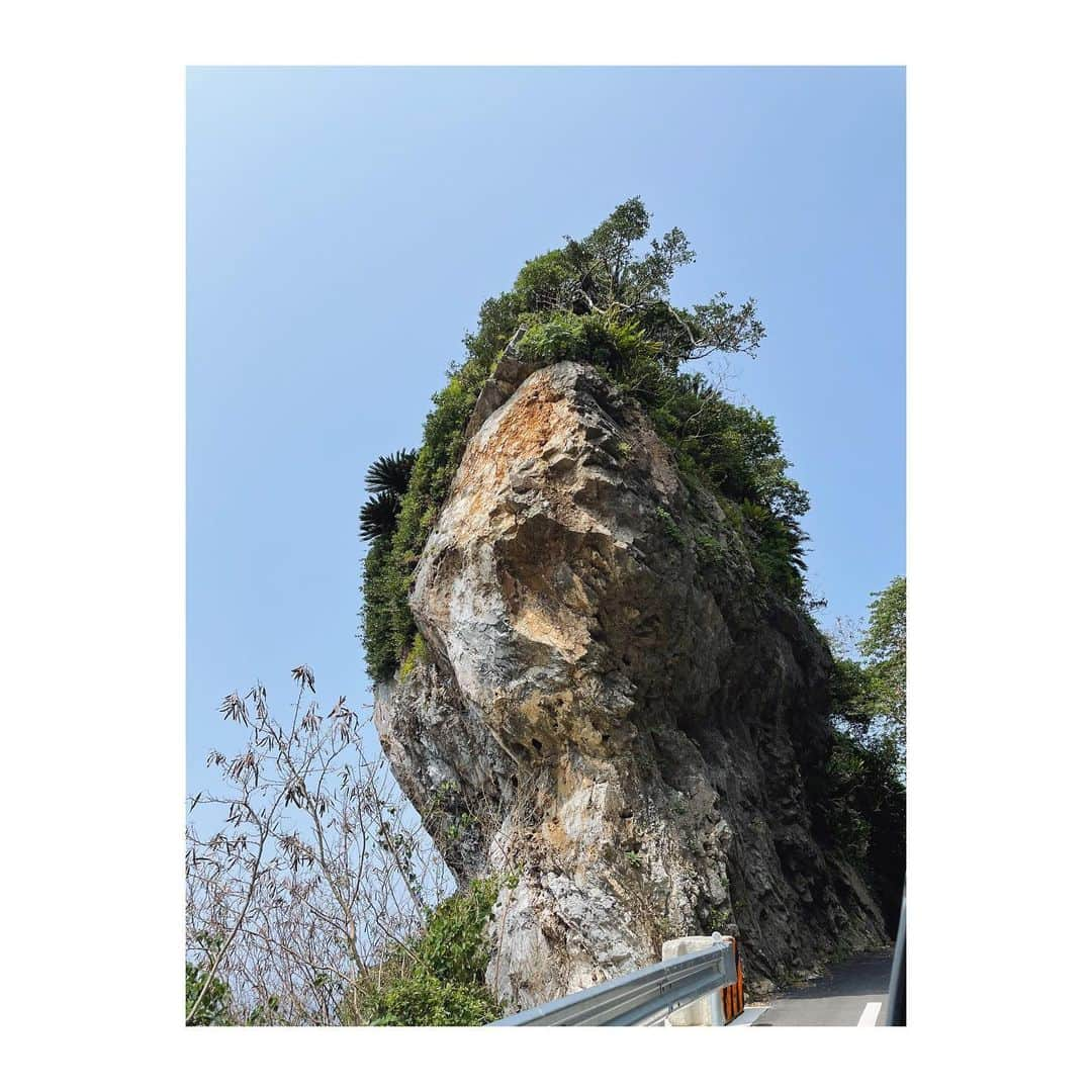 菊地舞美さんのインスタグラム写真 - (菊地舞美Instagram)「⛰ ___________________________  Throwback Okinawa🌈  今回の旅 唯一の観光は「やんばるの森」  あの森岡毅さんがテーマパーク開発を手がけていらっしゃる いわば「手付かずの大自然」  沖縄最北端「大石林山」に登りました⛰  ルートがいくつかあって もちろんハードではないルートを選んでテクテク🚶‍♀️  頂上に着いた途端に広がった景色は もう圧巻でした✨✨✨  パワースポットとも呼ばれる理由がわかるなんともいえない壮大感🦄 と、全て大丈夫な気がしちゃう不思議な空気😶  パワーをたくさんいただいて この後たくさん食べました🐷笑  ——  #沖縄 #沖縄旅行 #vacation #やんばる国立公園 #やんばるの森 #大石林山」4月19日 7時47分 - maimi_kikuchi_reborn