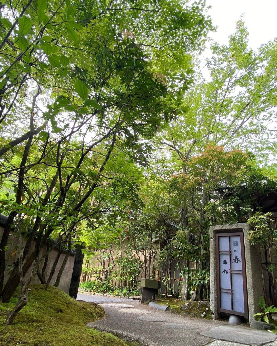 ゆふいん温泉　日の春旅館のインスタグラム：「緑が少しずつ増えています。  https://www.hinoharu.jp ホームページはプロフィール画面に記載のURLよりご覧ください。  #新しいおおいた #由布院 #湯布院  #大分県 #旅館 #温泉 #旅行  #由布岳 #飯盛ヶ城 #辻馬車 #登山 #yufuin #ryokan #hinoharu #mountain #onsen #bath #travel  #유후인 #hotsprings #히노하루료칸」