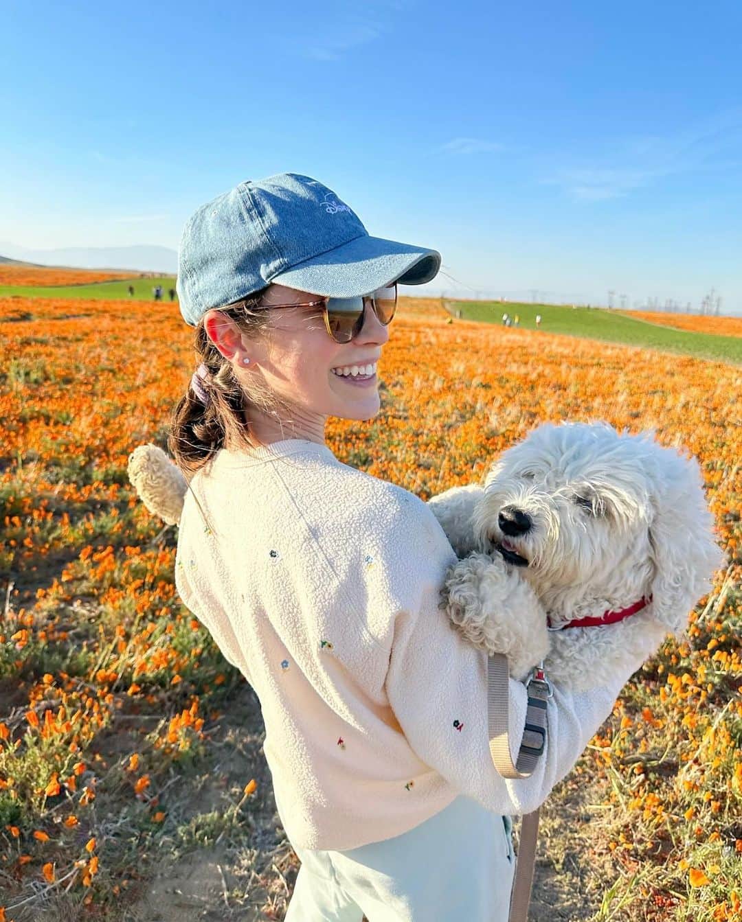 メリル・デイヴィスのインスタグラム：「Was feeling a little overwhelmed yesterday so we did a spontaneous trip to see the #superbloom! 🧡 Nothing like a glorious field of California poppies to pull you out of a stressball / mood funk. Bilbo REALLY wanted to frolic… BUT we were indeed very careful not to stomp on the magic. ✨」