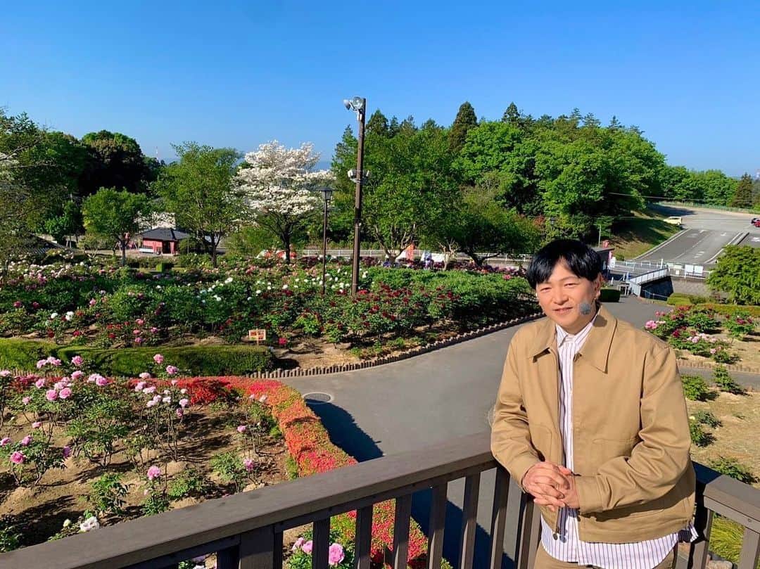 依田司さんのインスタグラム写真 - (依田司Instagram)「4月19日（水） 埼玉県東松山市にある「東松山ぼたん園」から１５０品種の牡丹をご紹介。 一つの枝に一輪のみ花が育つように剪定を行うため、花が大きく、とても迫力があります。 また、樹の高さを抑えながら成長させることで、花を支える茎を太くし、花の重みで折れてしまわないよう、工夫をしているそう。 今年は例年と比べ１週間も咲き進みが早く、今週末にかけてが1番の見頃とのこと。 一際オーラを放つ牡丹を見つけ名前を見たら「阿蘇の司」と「黒光司」でした笑。 土曜日には、牡丹の花を再利用したアートのワークショップも行われますよ。 巨大遊具もあって、子供たちも楽しく遊べそうですね。  #東松山ぼたん園 #BANANAREPUBLIC #バナリパ #依田さん #依田司 #お天気検定 #テレビ朝日 #グッドモーニング #気象予報士 #お天気キャスター #森林インストラクター #グリーンセイバーアドバンス #プロジェクトワイルド #IPCC伝導者 #japan #japantrip #japantravel #unknownjapan #japanAdvenそture #japanlife #lifeinjapan #instagramjapan #instajapan #療癒 #ilovejapan #weather #weathercaster #weatherforecast」4月19日 8時55分 - tsukasa_yoda