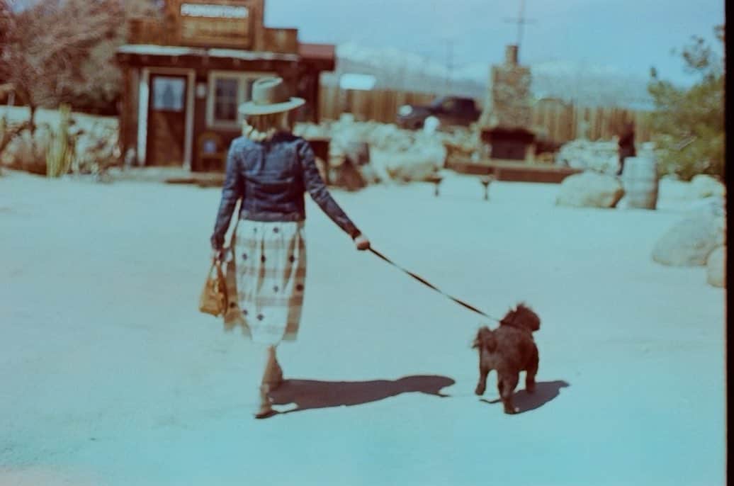 ローレン・ホリーのインスタグラム：「Me and my horse, strolling into town. #piperdog 🌵  🎞️ @fuzzywarbles」